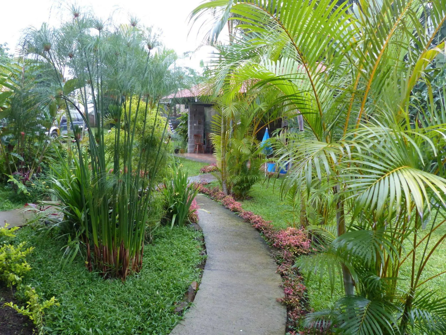 Hotel B&B Garden Grecia