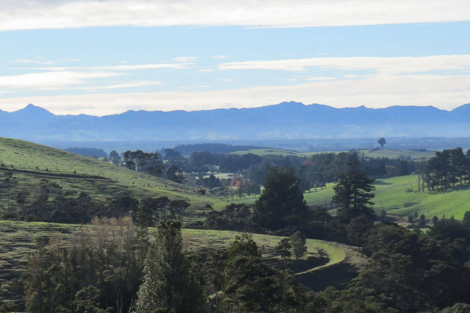 Westwind Homestay B & B