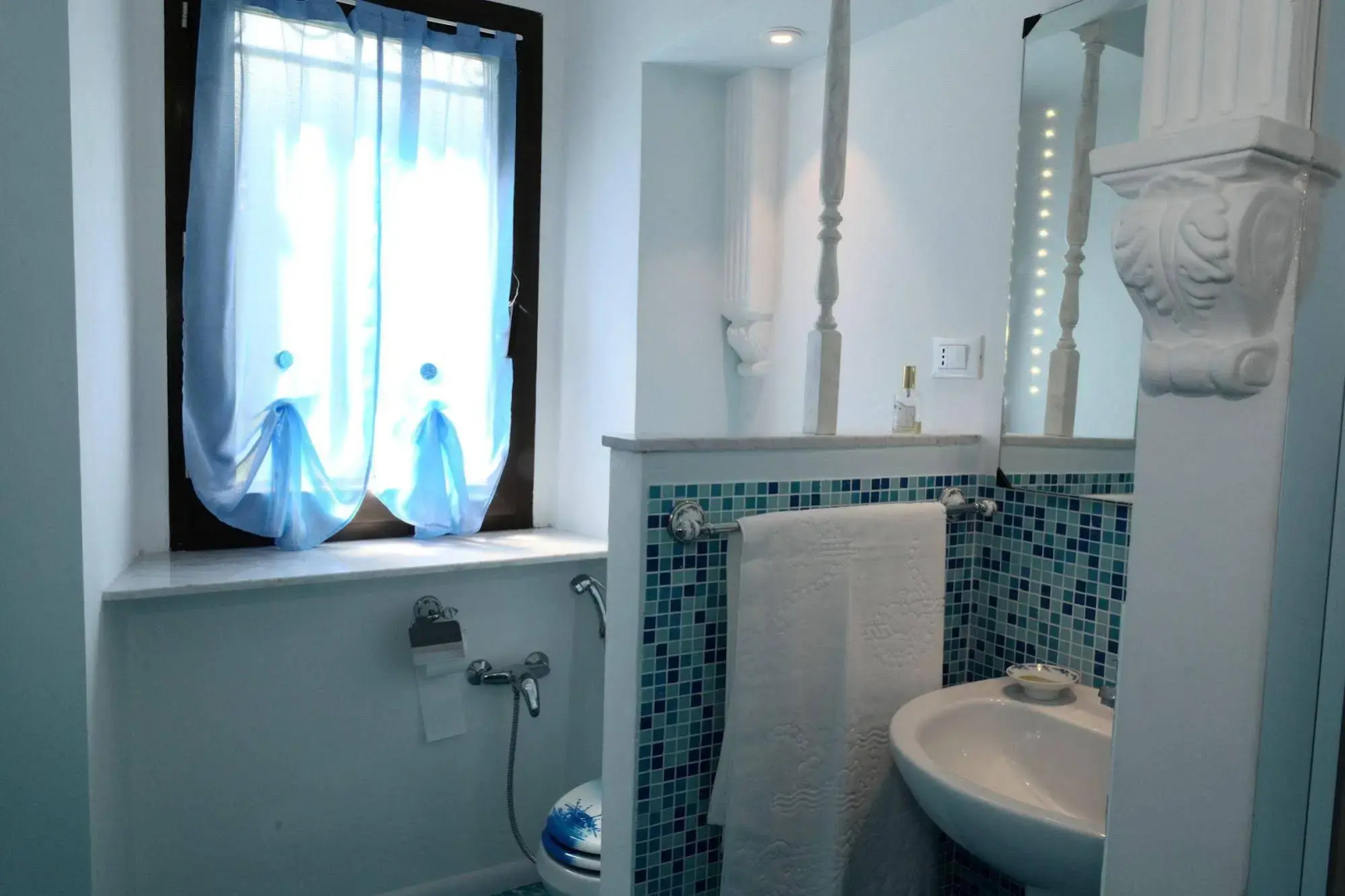 View of the vineyards