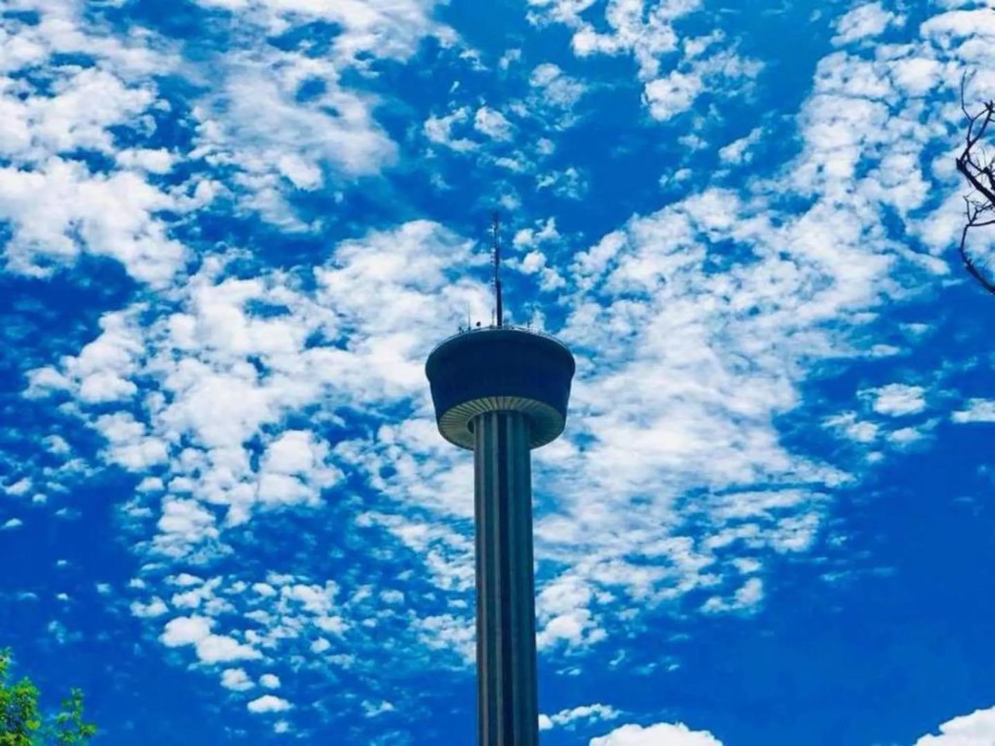 BIG Studio Near Downtown With All Amenities