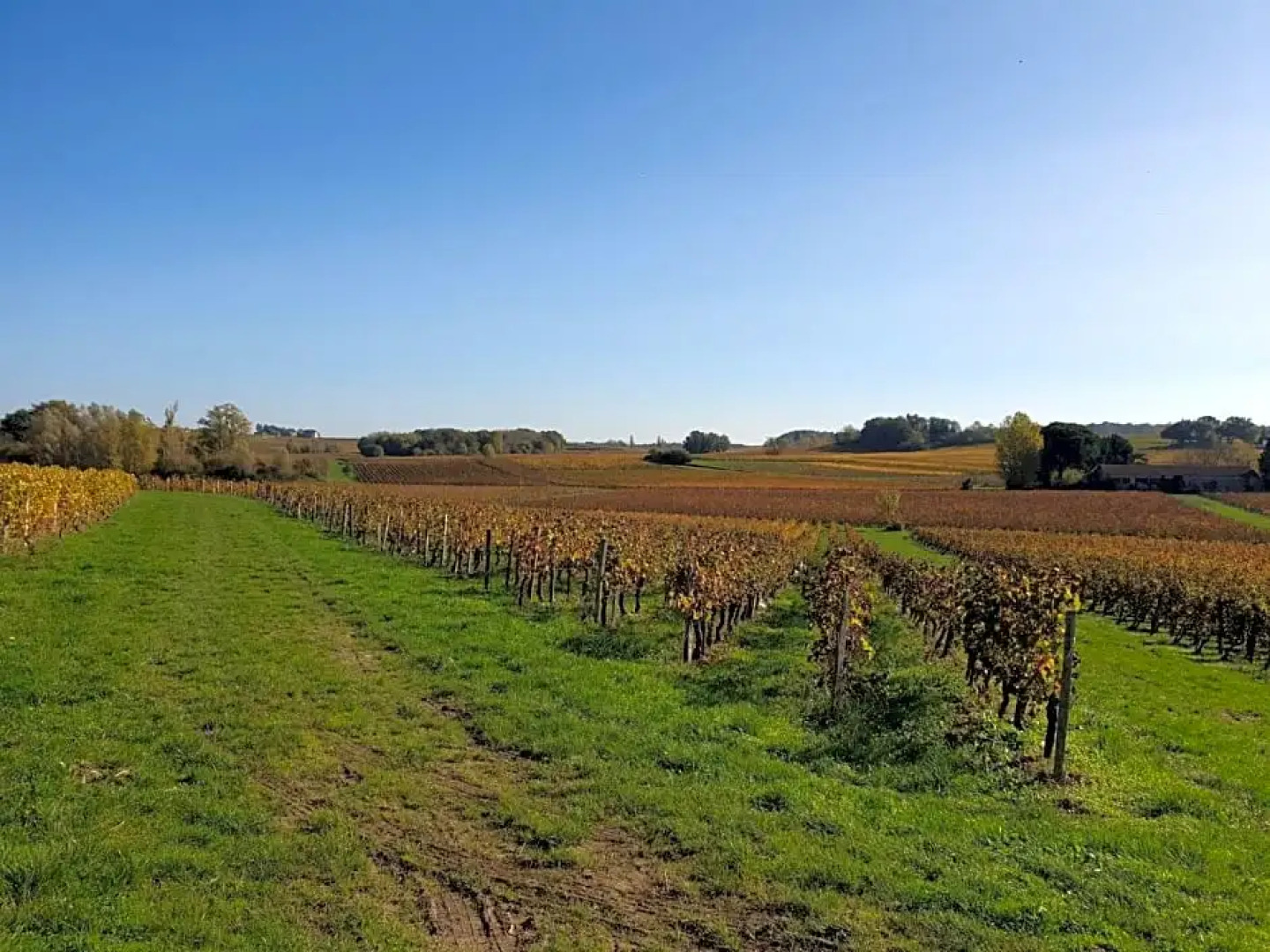 Pavillon Des Millesimes