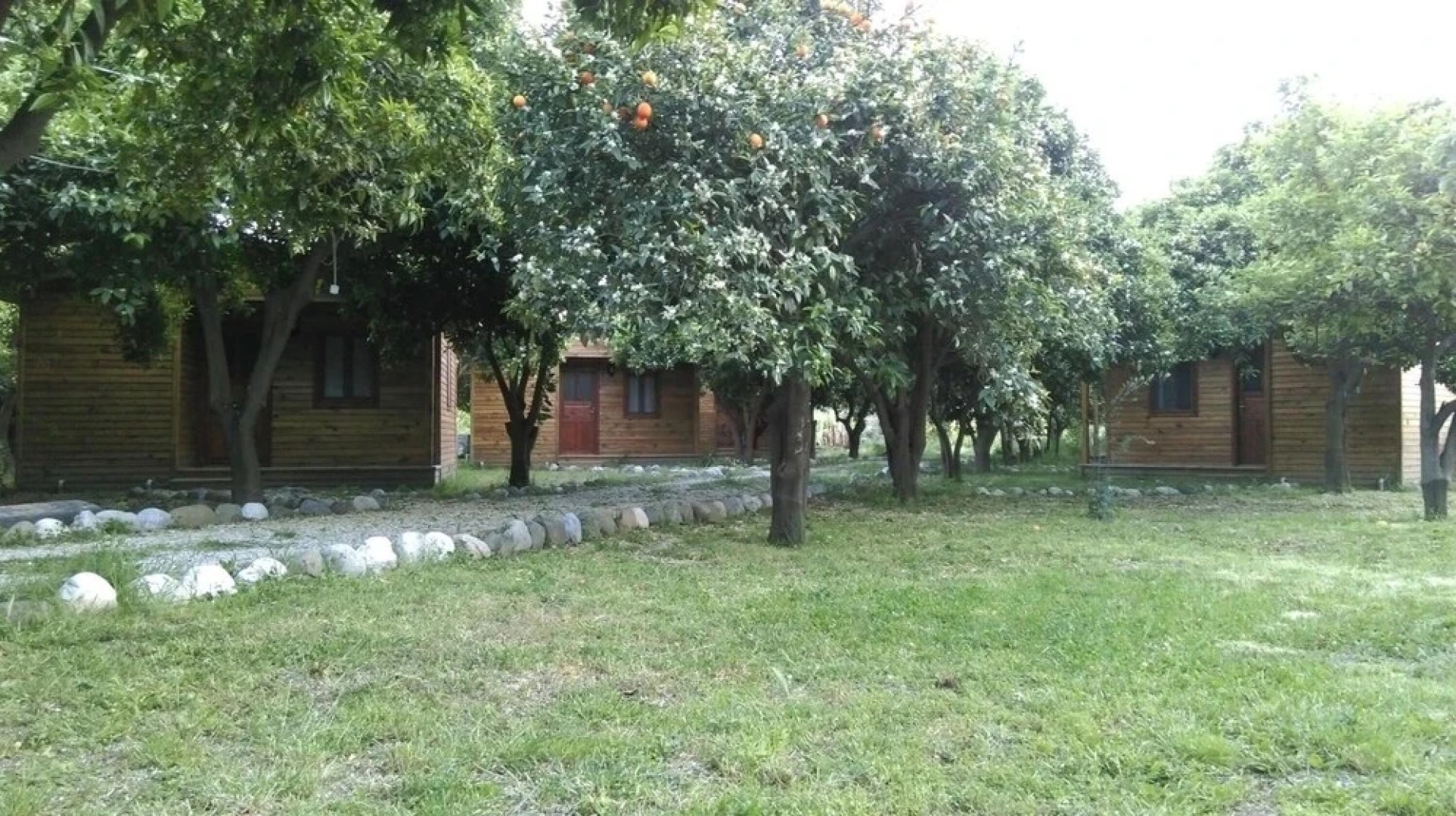 Yesil Bahce Bungalow - Ahsap Evler