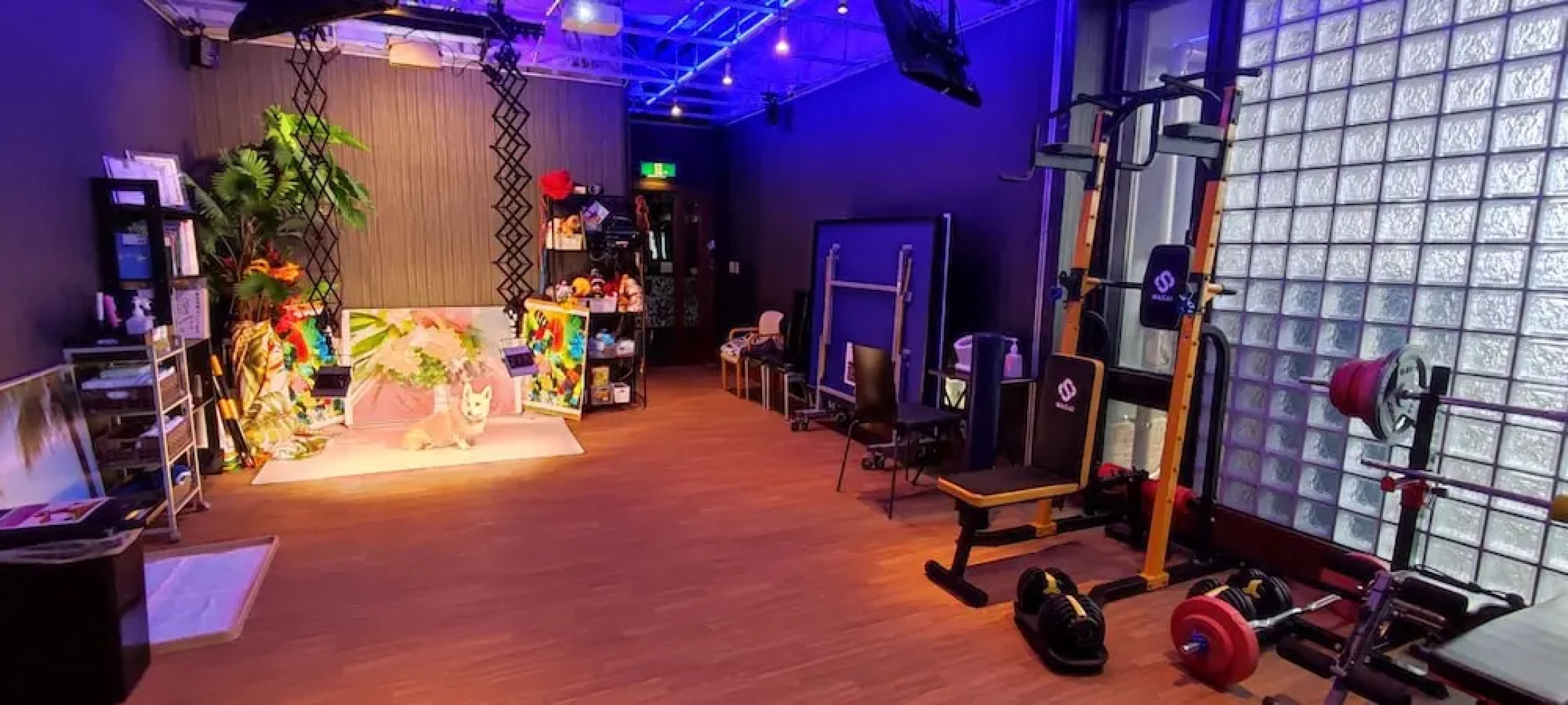 Hakone Gora Guam Dog