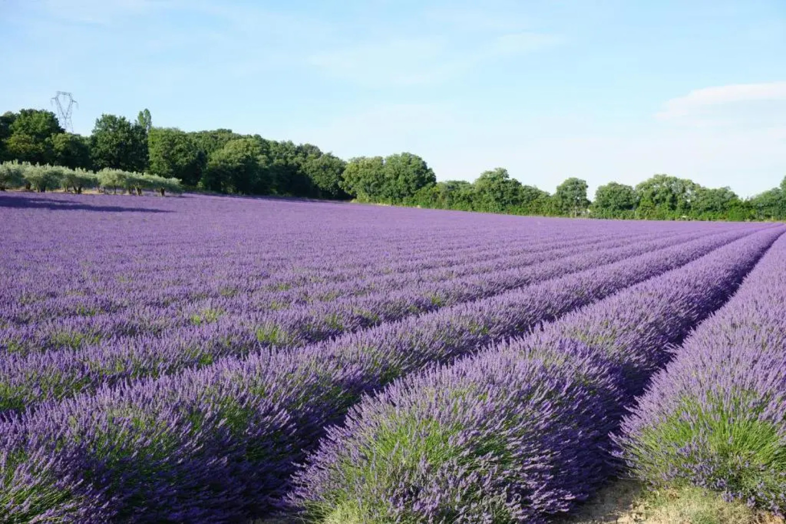 Gite Villa des Sources