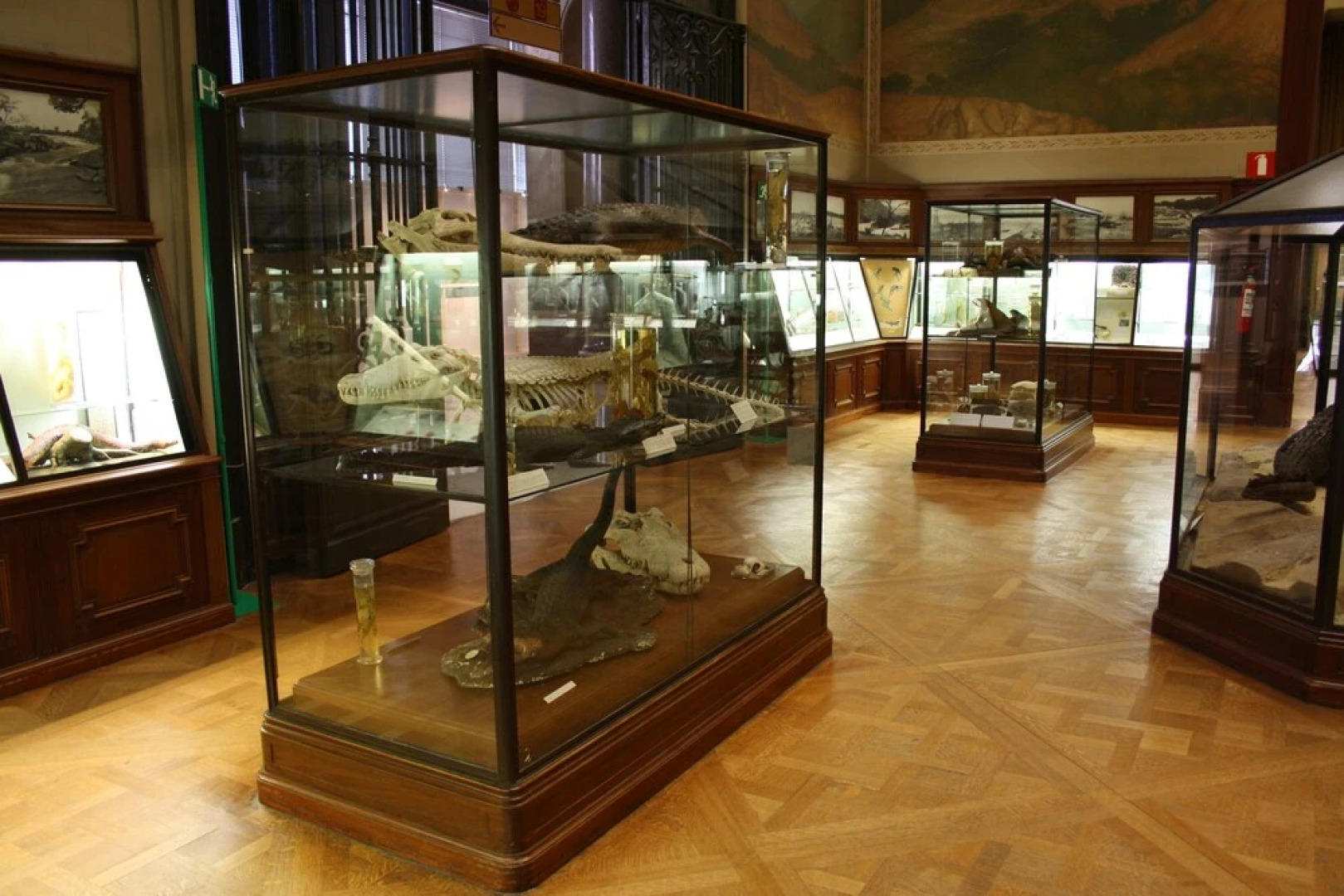 Comfortable Apartment in Tervuren