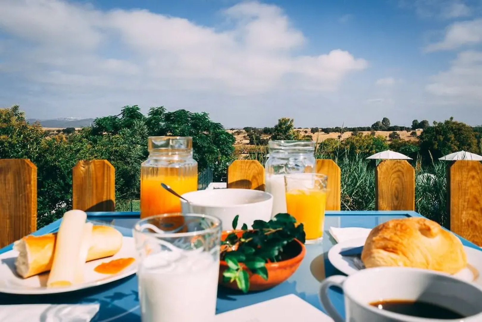 Monte do Colmeal - Country House & Wine