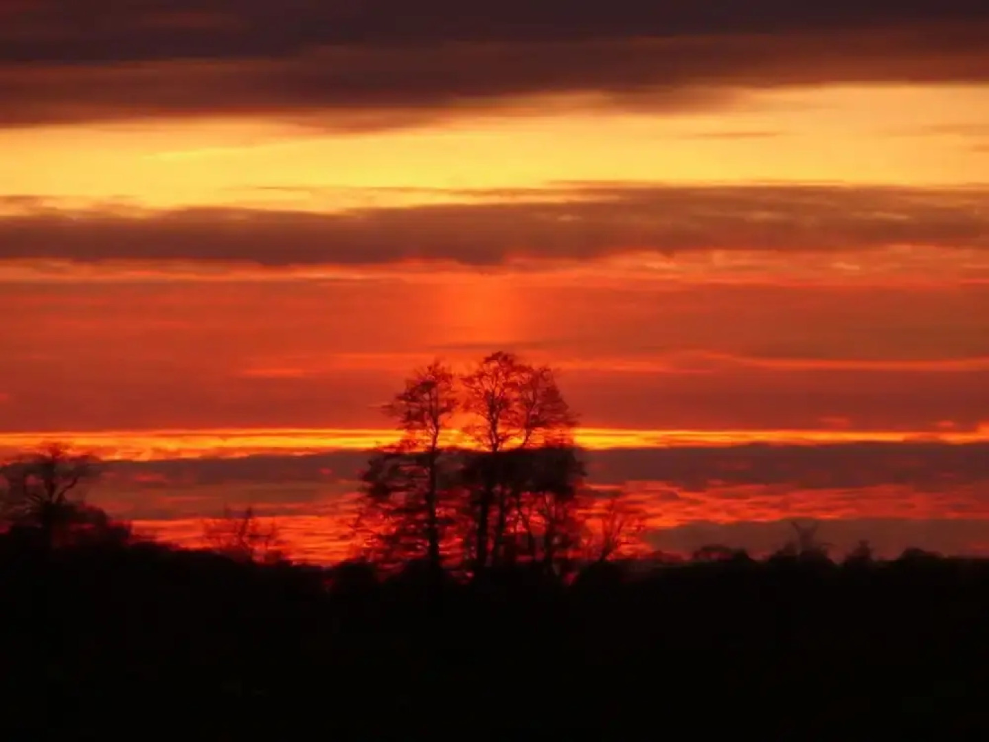 Holiday Apartment Zur Heide