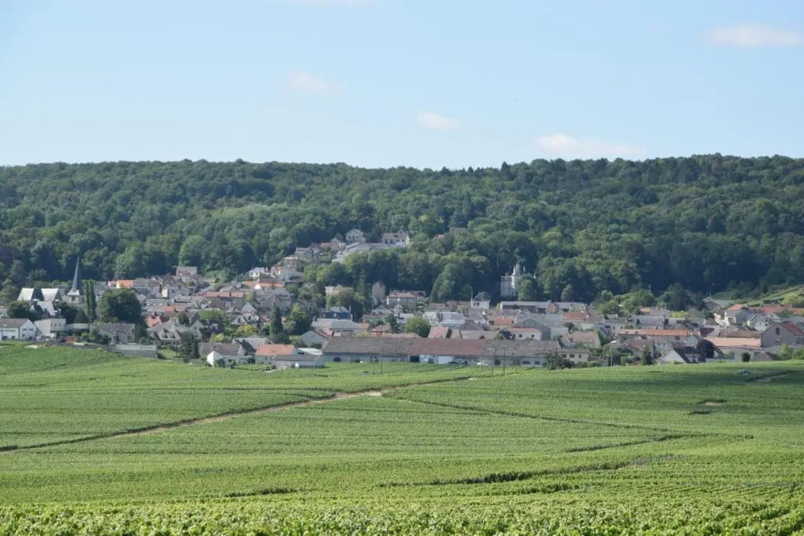 Rêve Champenois