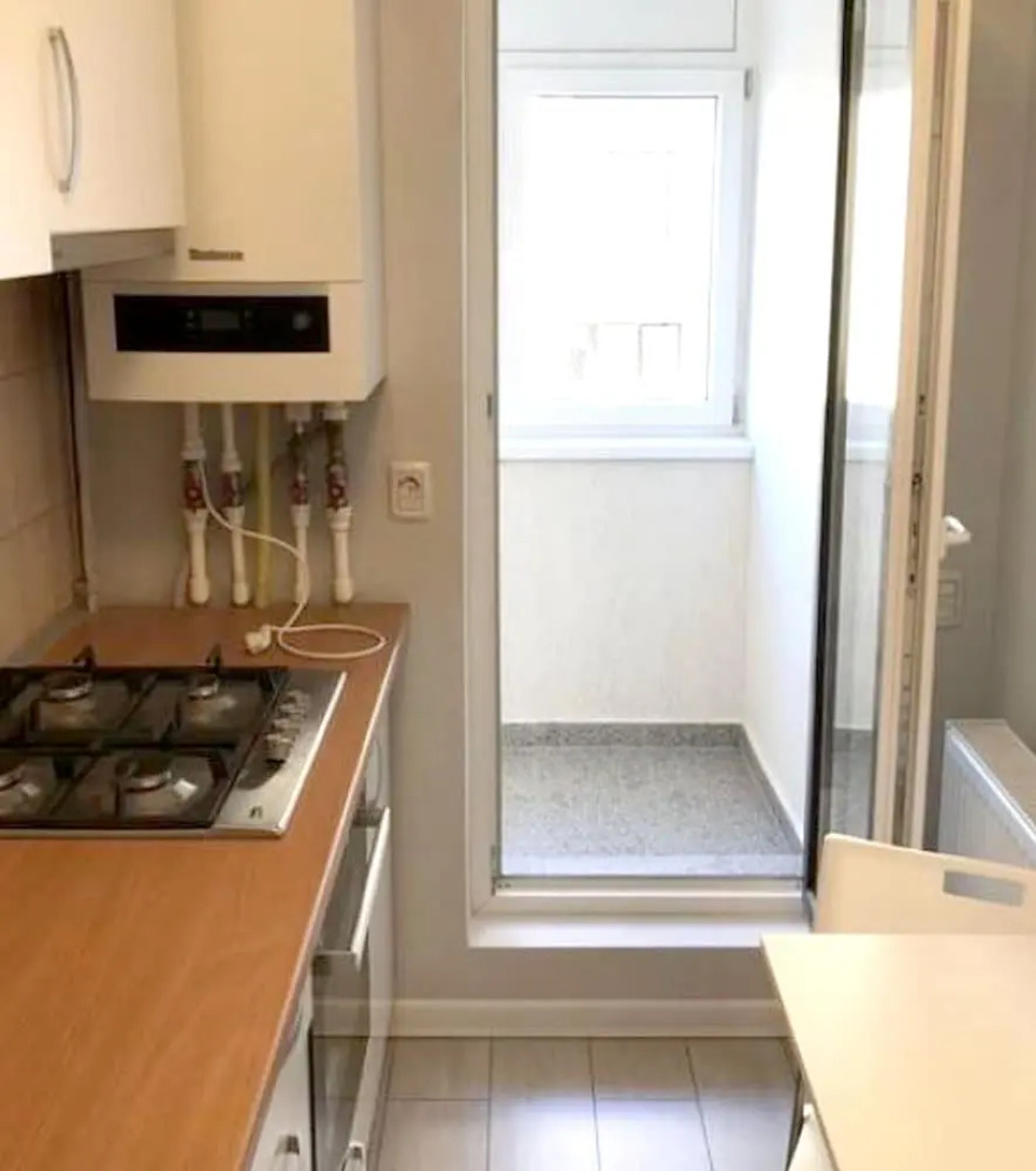 Studio in Roșu, With Balcony and Wifi