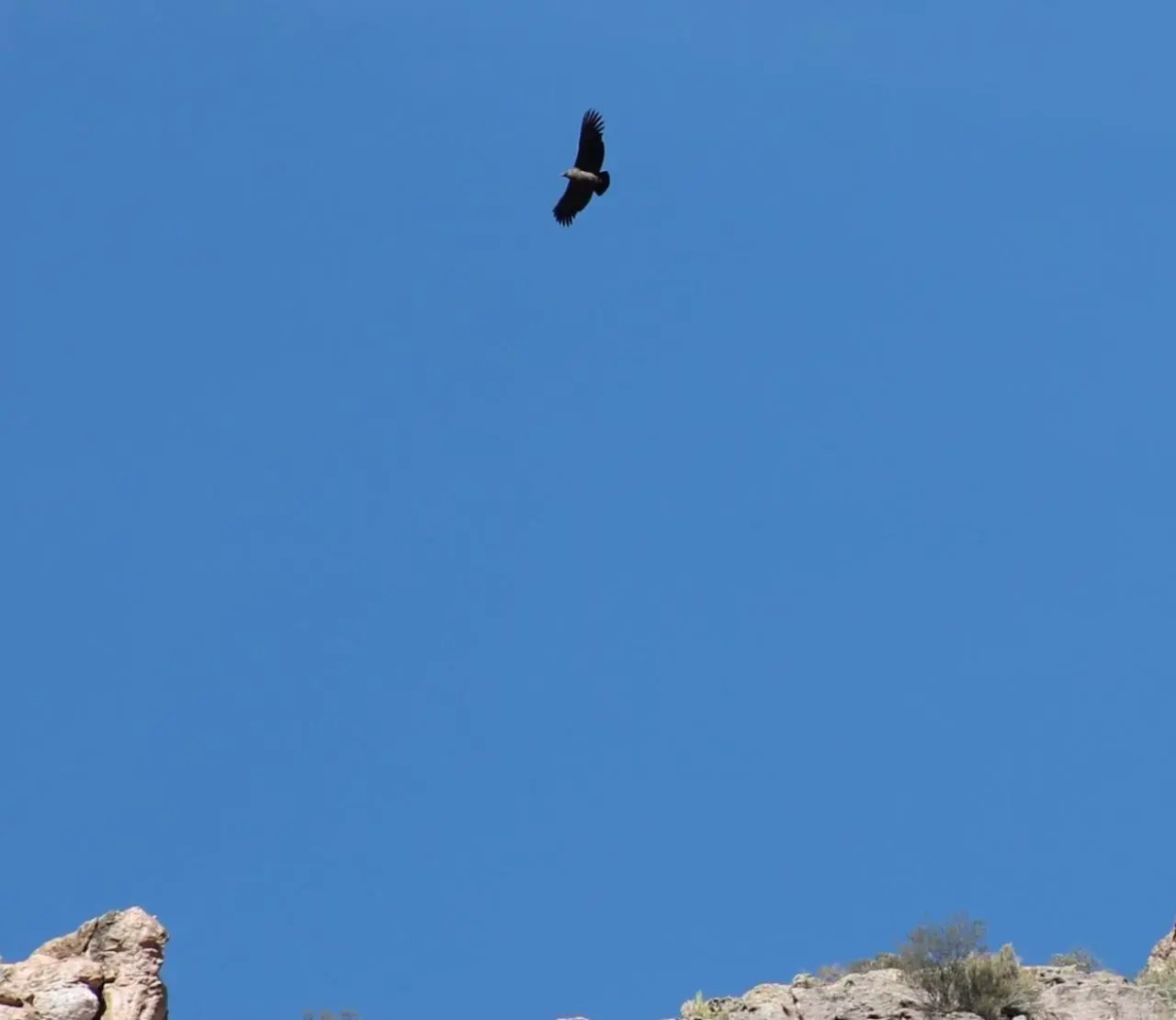 Posada de Campo Pura Vida