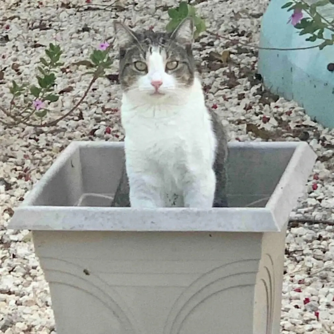 S2 BP Steps to Beach