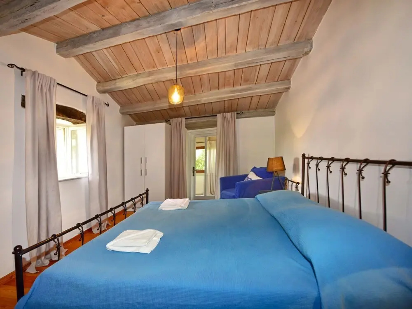 Hibiskus Tadini in Tadini