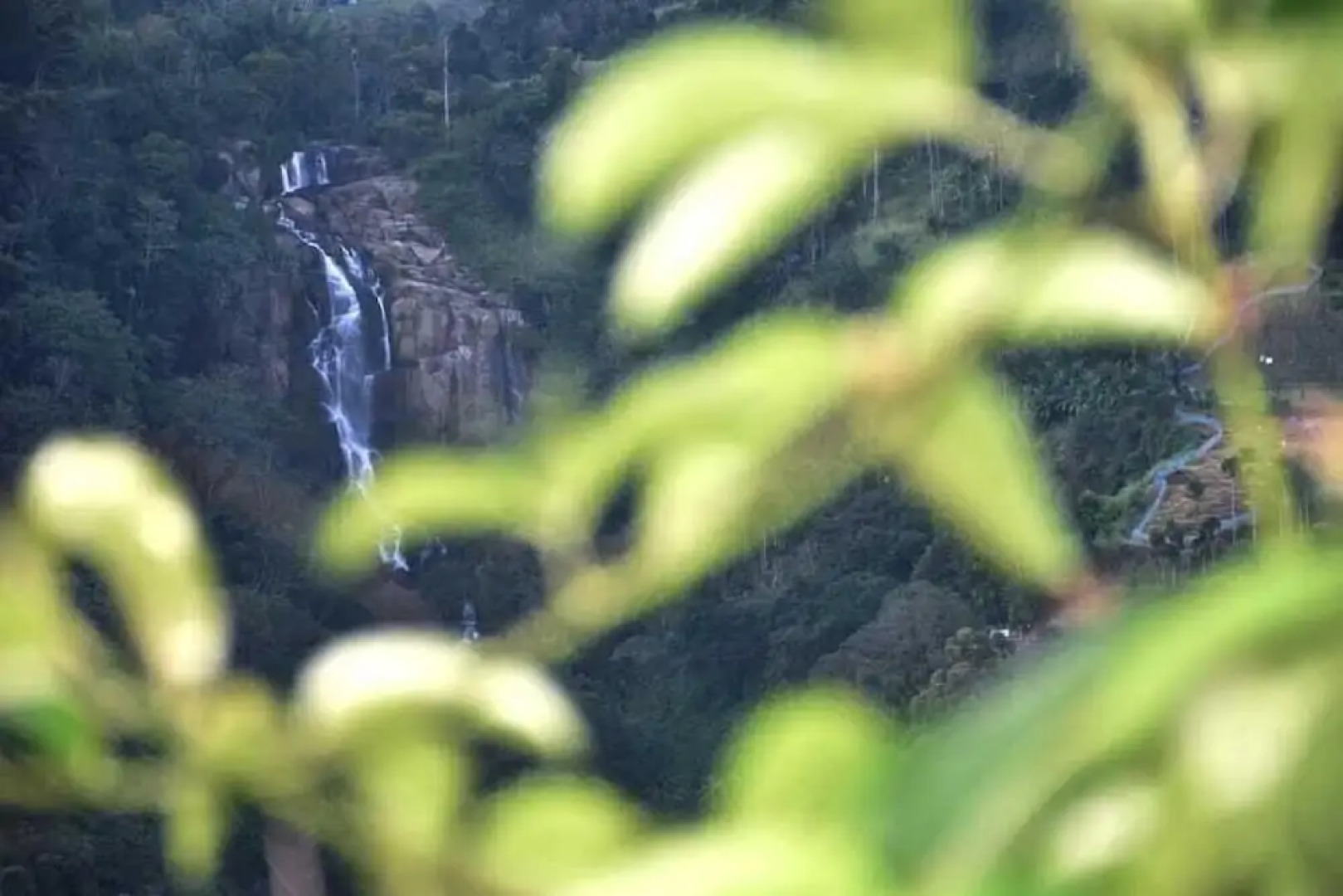 Ella Village View Homestay