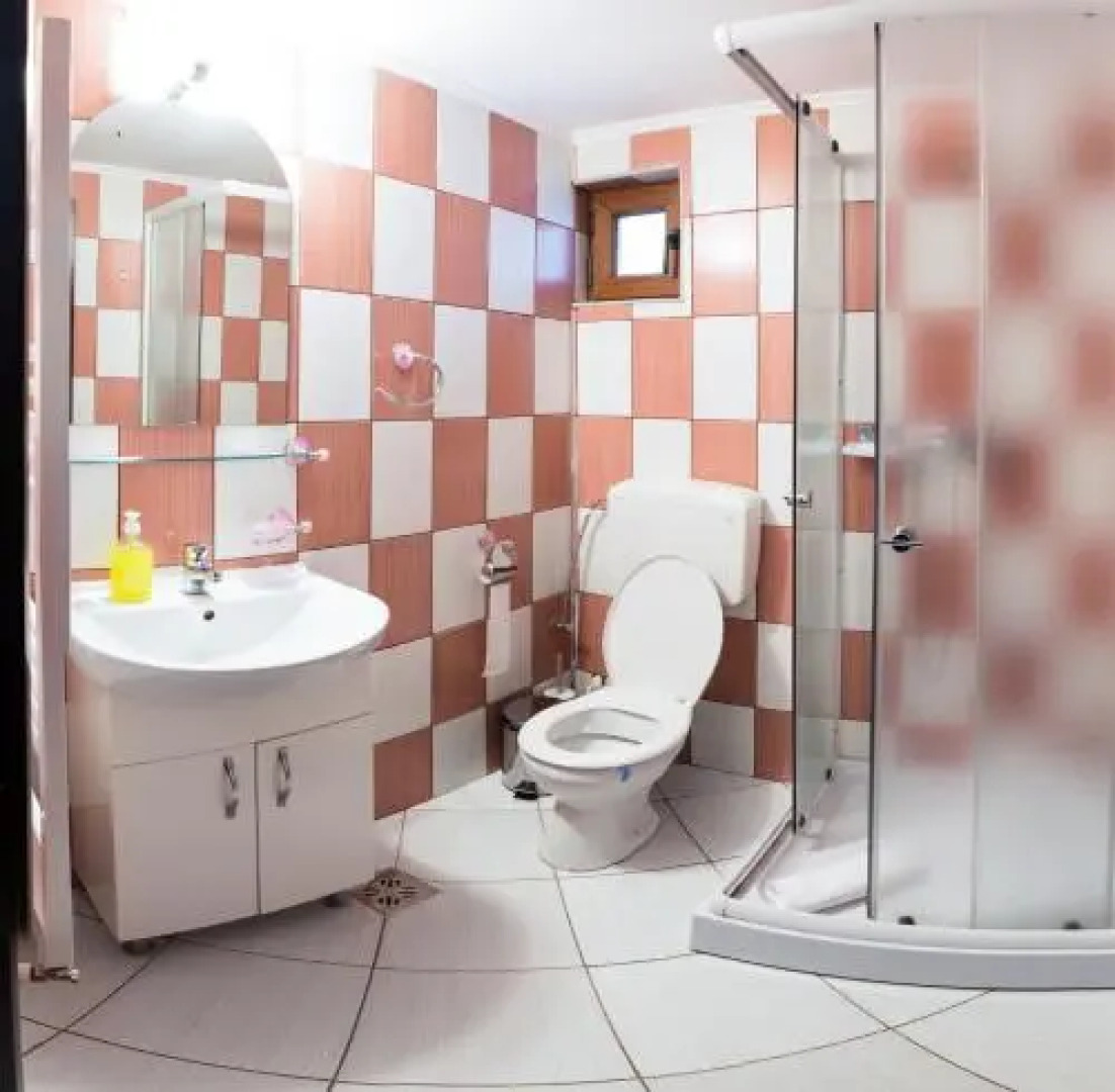 Vila de vacanta Alma Azuga