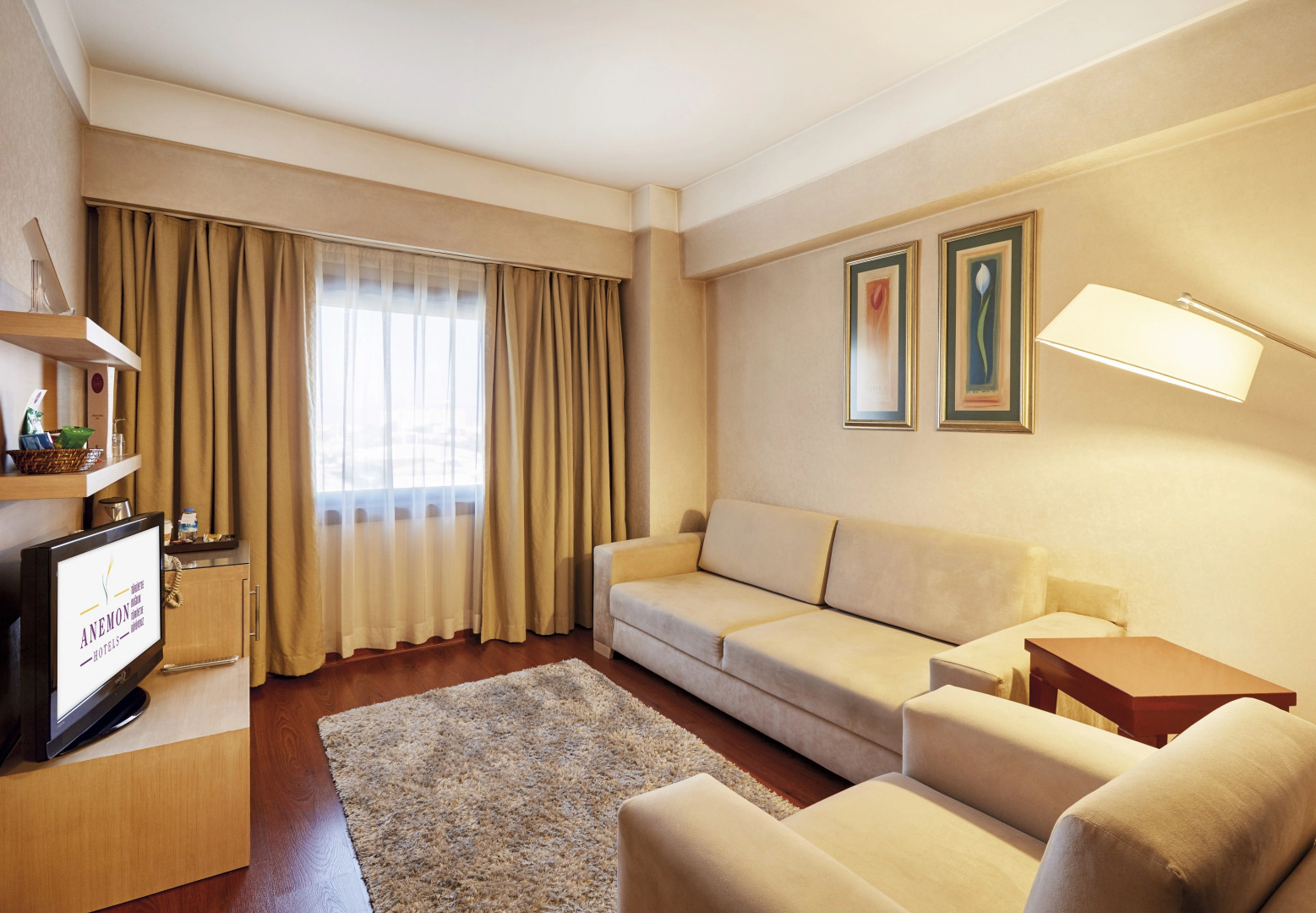 Отель Anemon Eskisehir