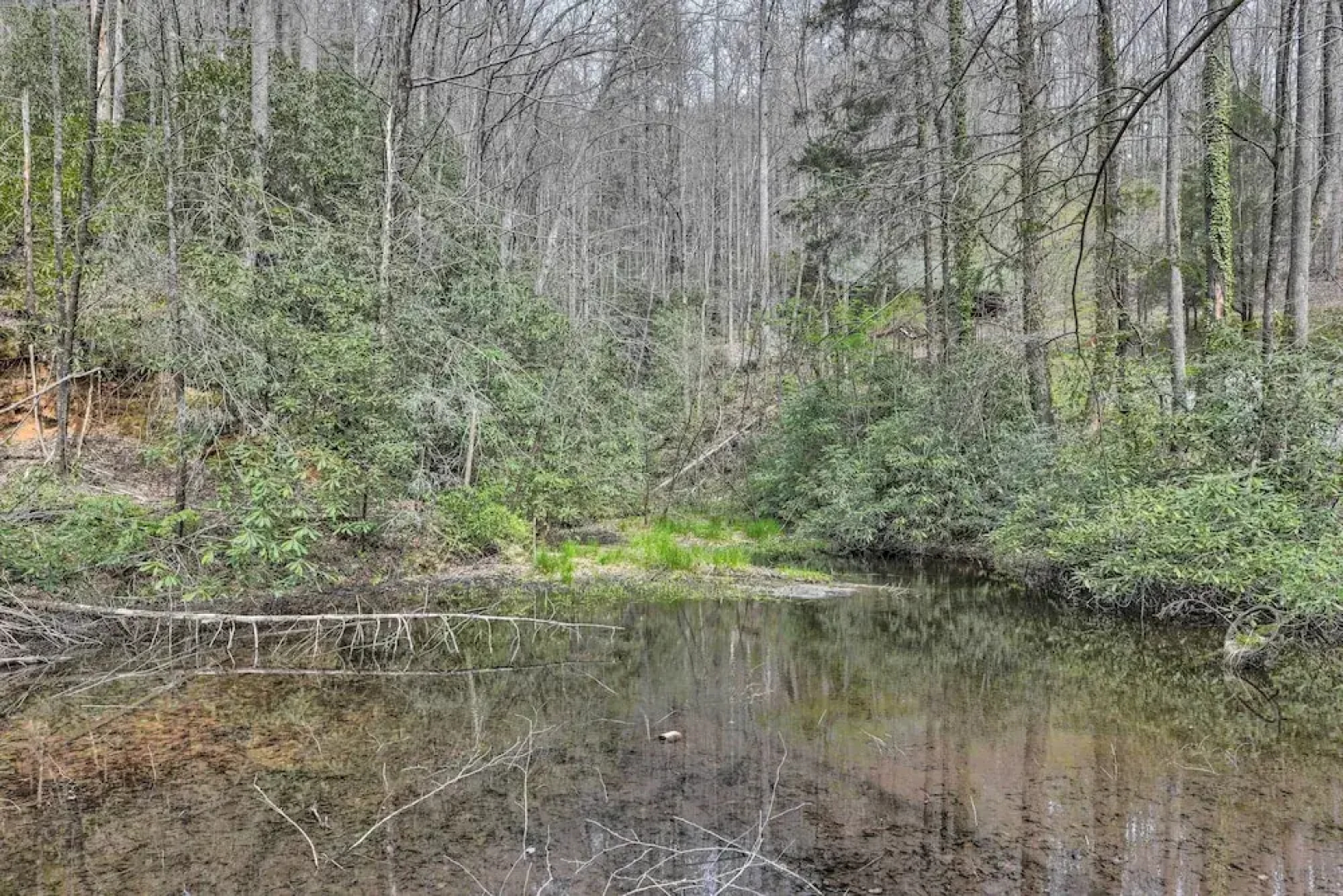 Cozy Blue Ridge Mountain Cabin on 18 Acre Lot