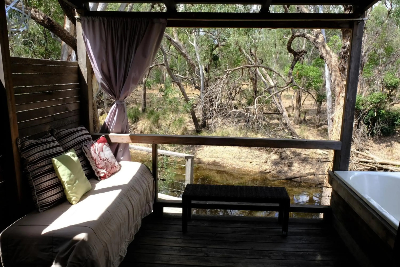 The Laurels of Chinchilla