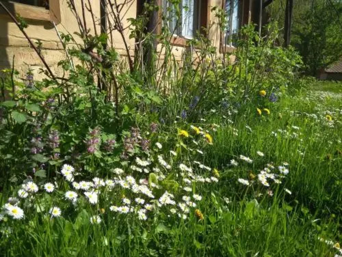 Kismélyvölgyi Vendégház