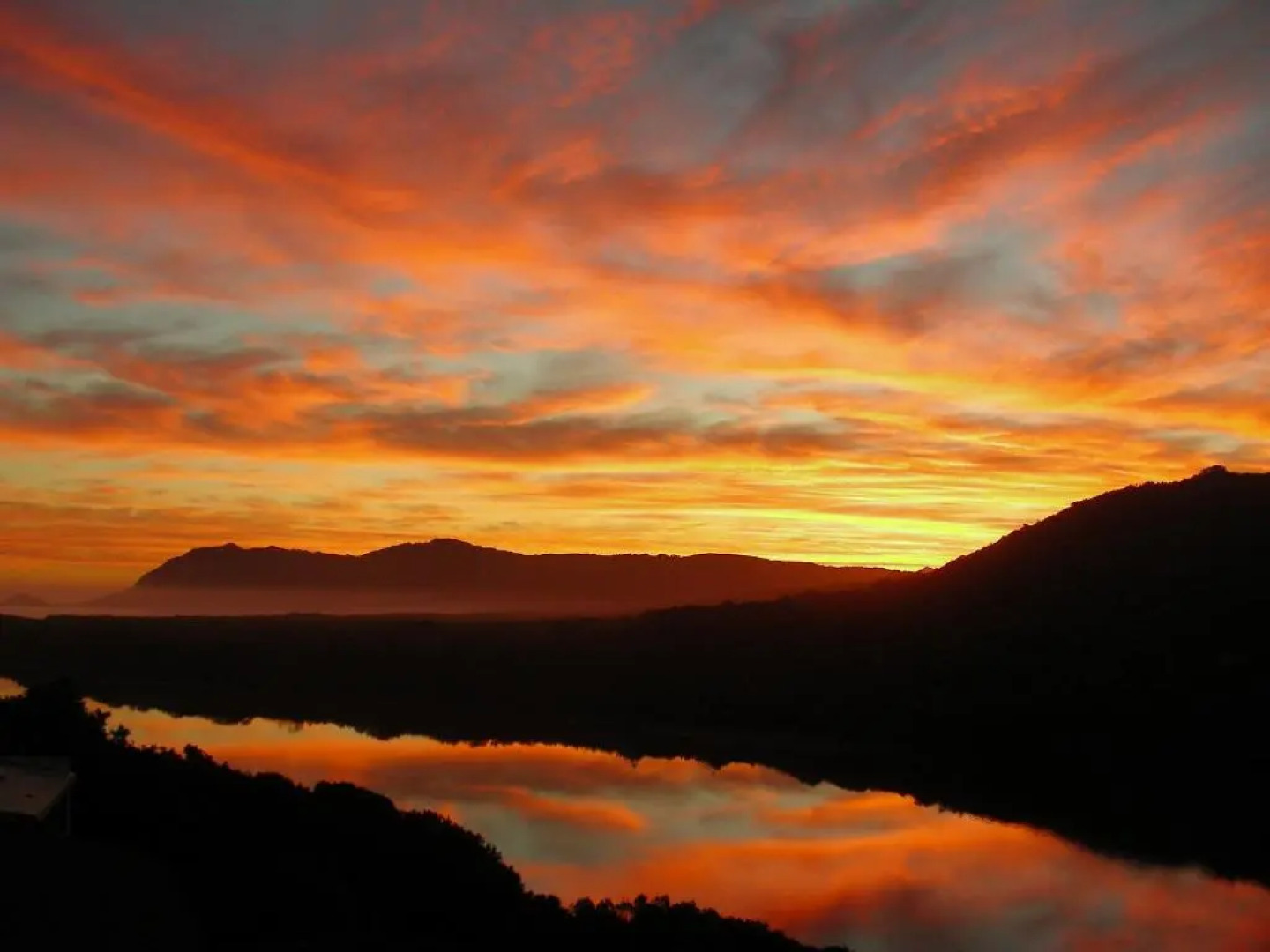 Sedgies on the Water