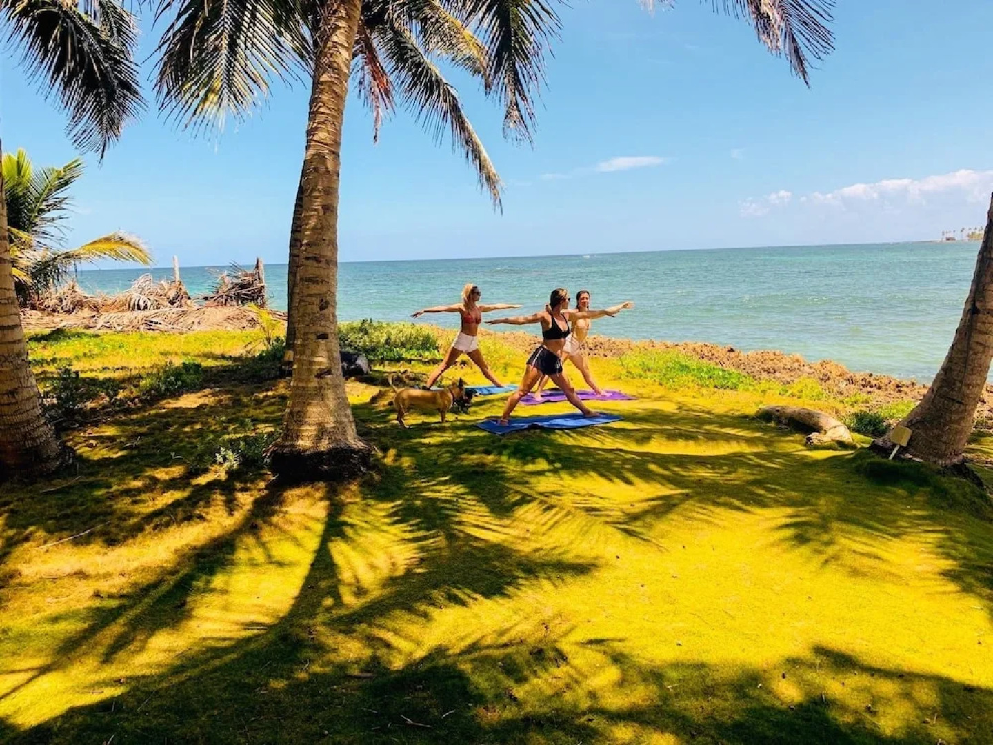 Baoba Breeze Bed & Breakfast