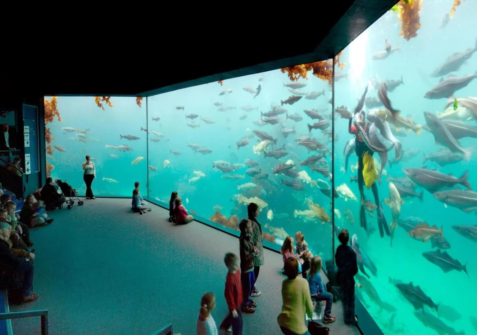 Thon Partner Hotel Baronen