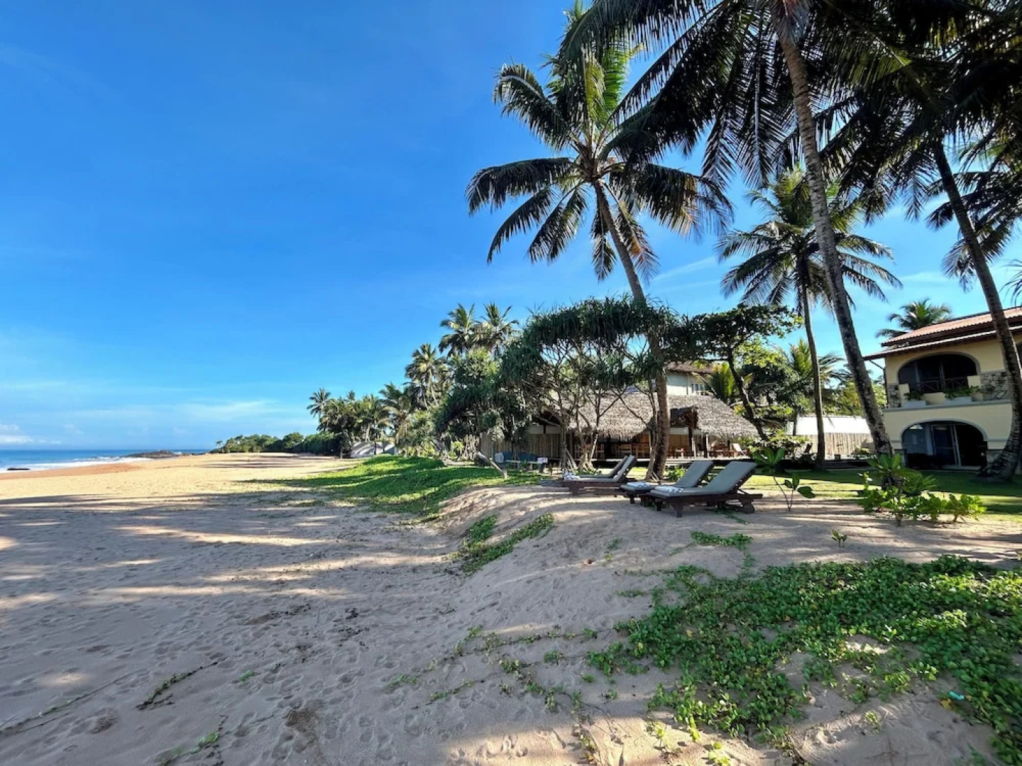 Bombay Bicycle Club Bentota