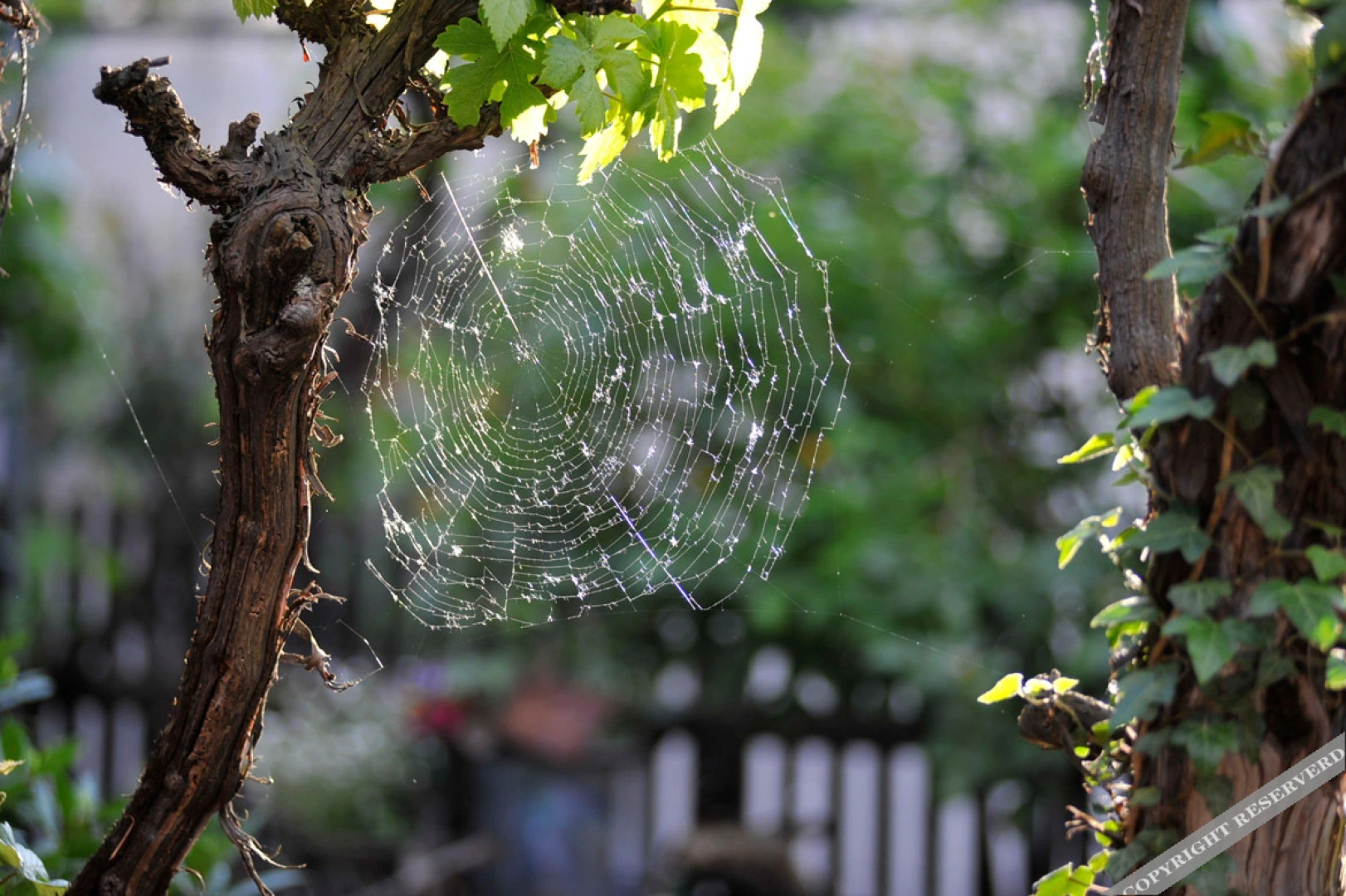 Hotel Weinhaus Stern