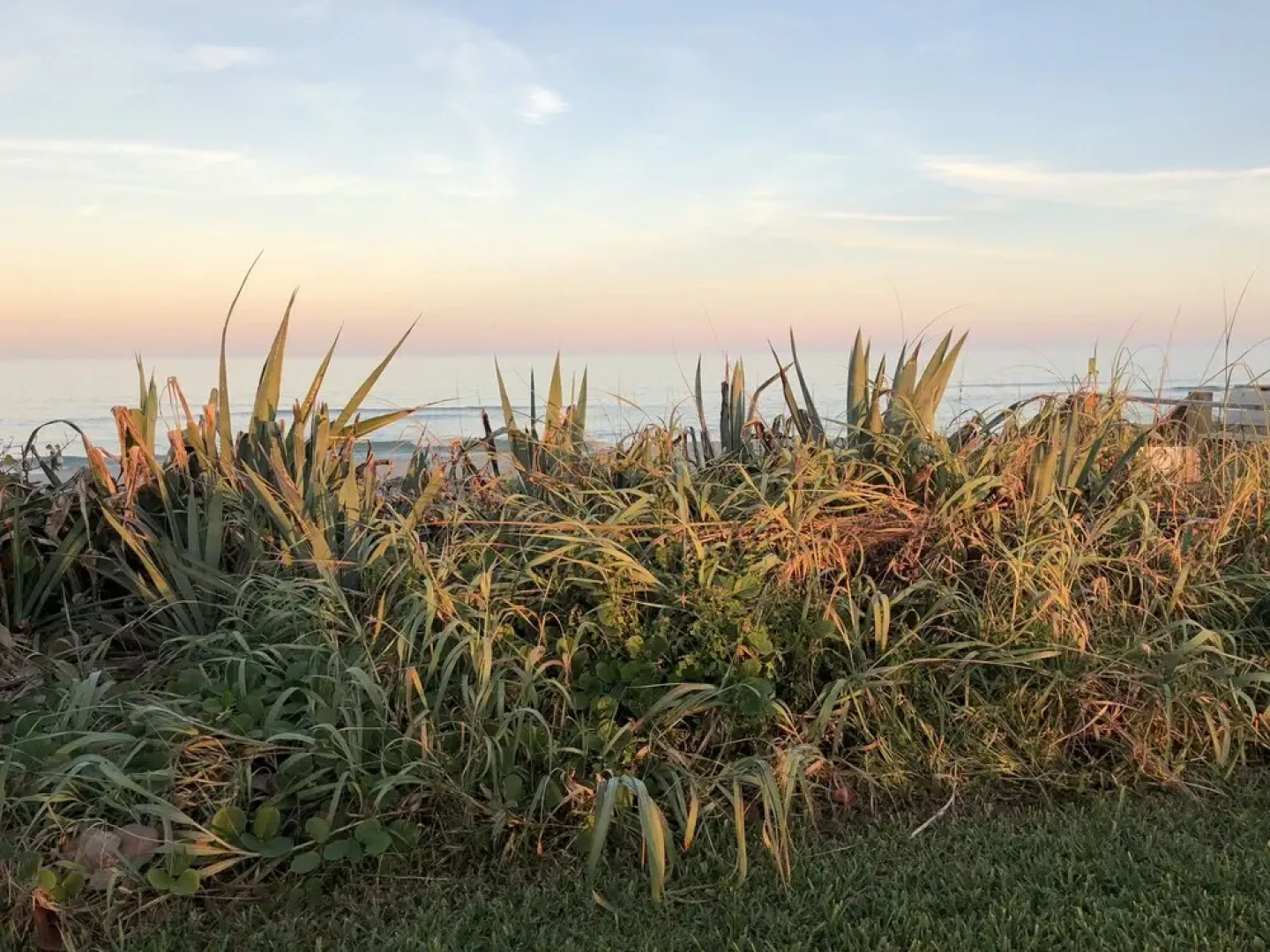 Ocean Front Paradise Resort