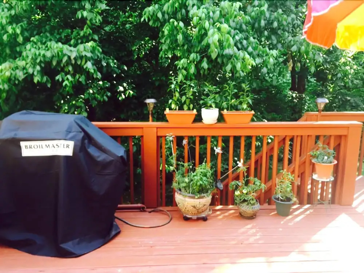 The Nest at Eagles Landing