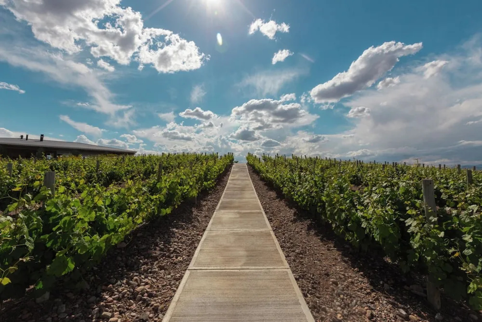 Villas del Malbec Lodge