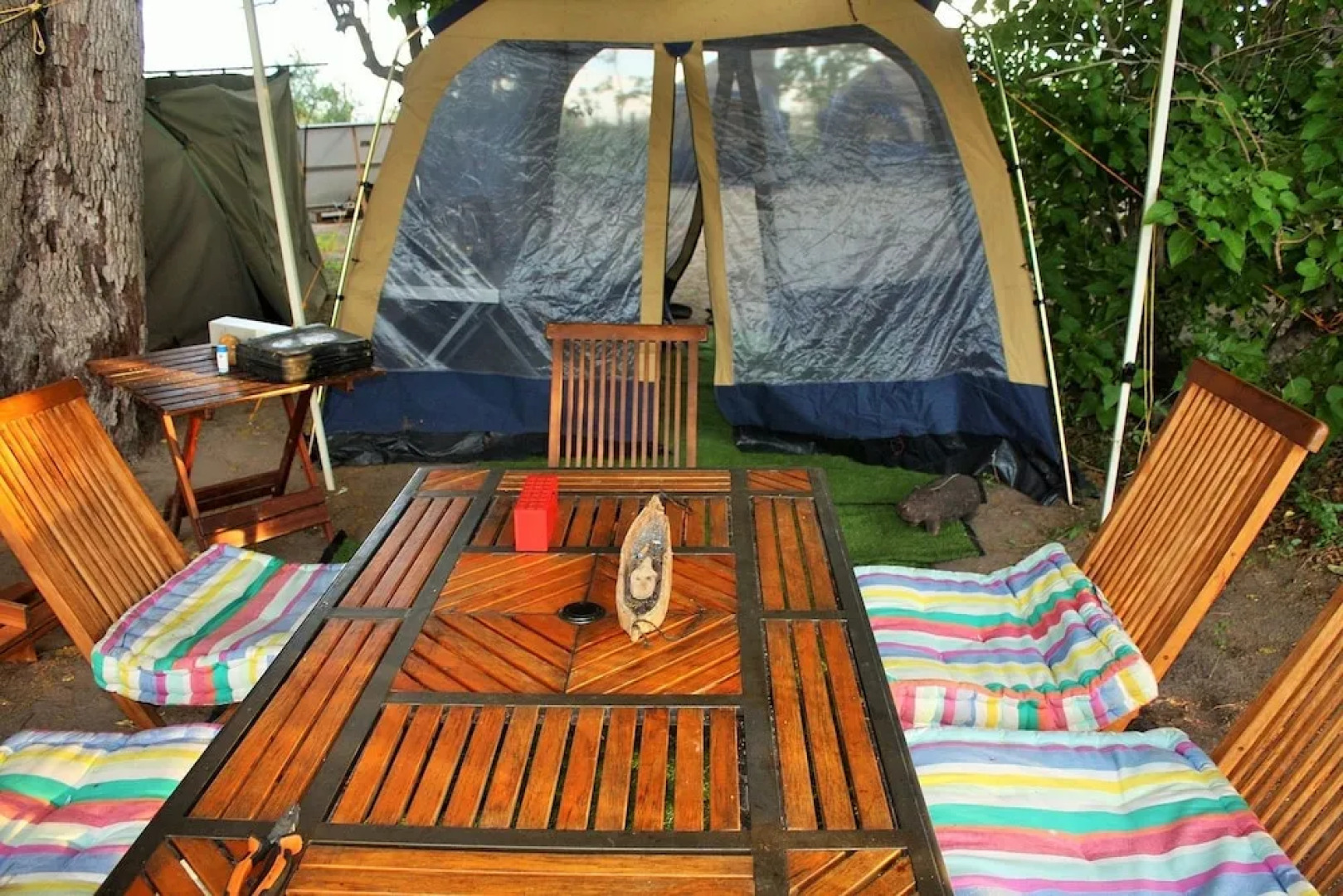 Hippo Island Okavango Delta