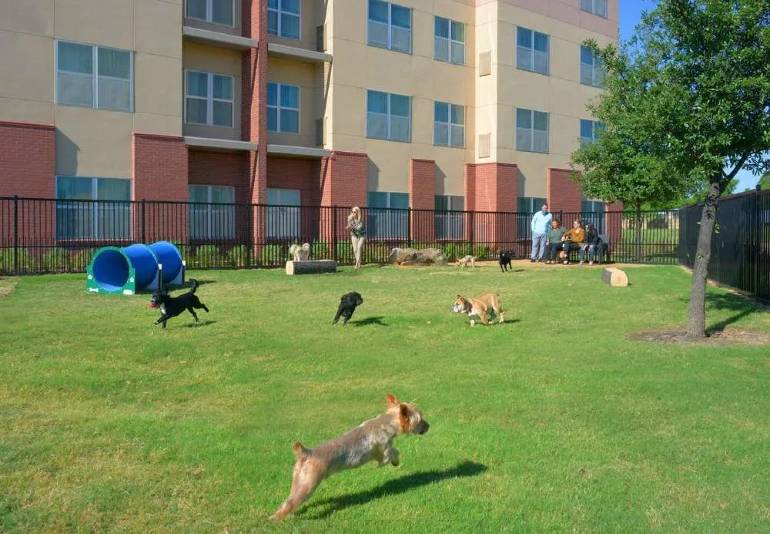 Residence Inn Dallas Plano/The Colony