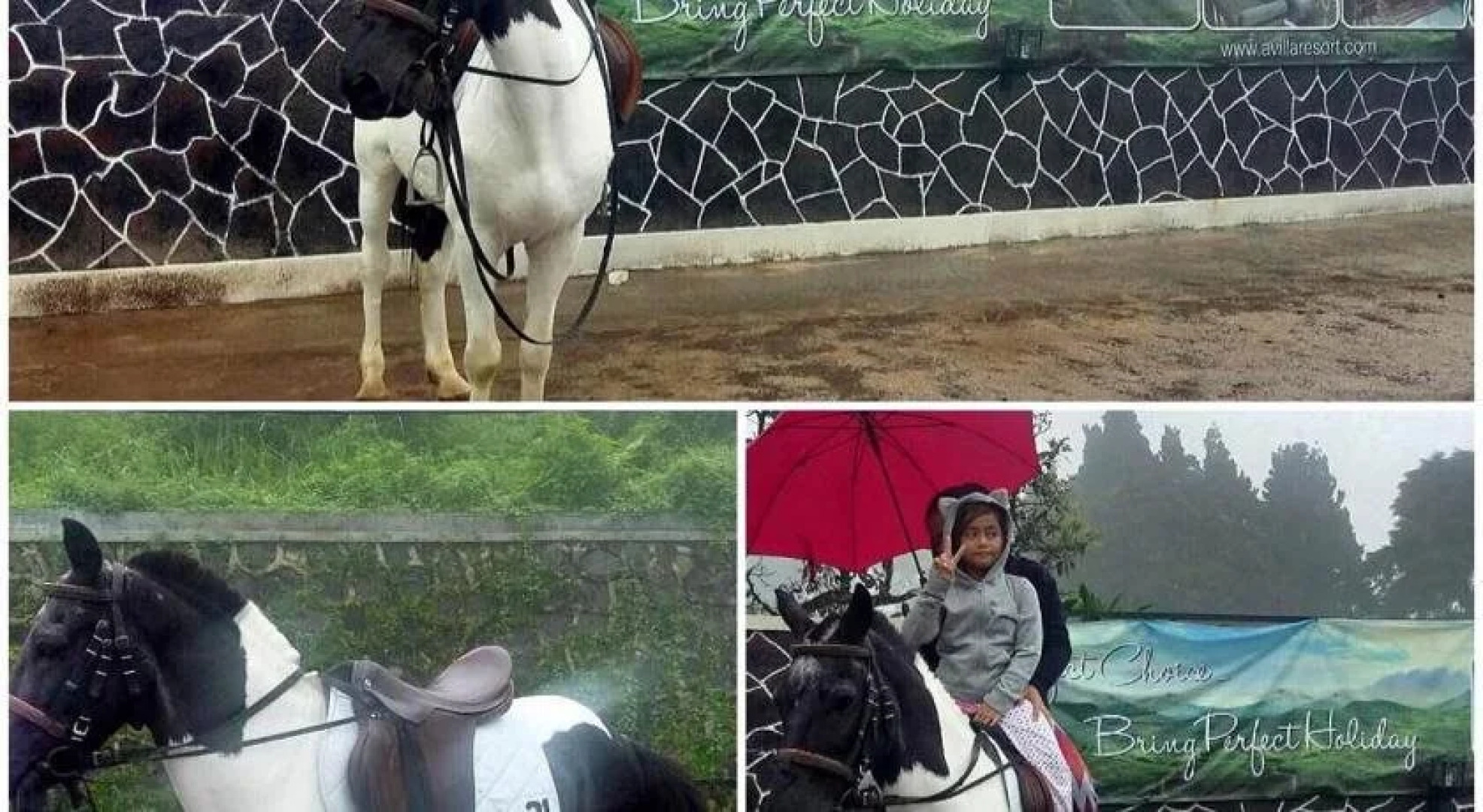 Avilla Resort Puncak