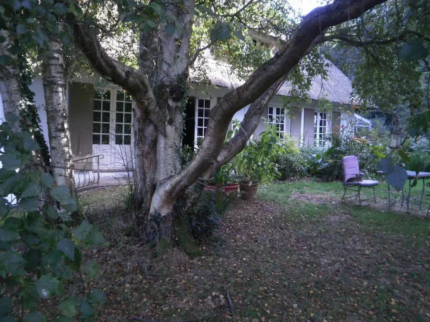 Le clos des mûriers