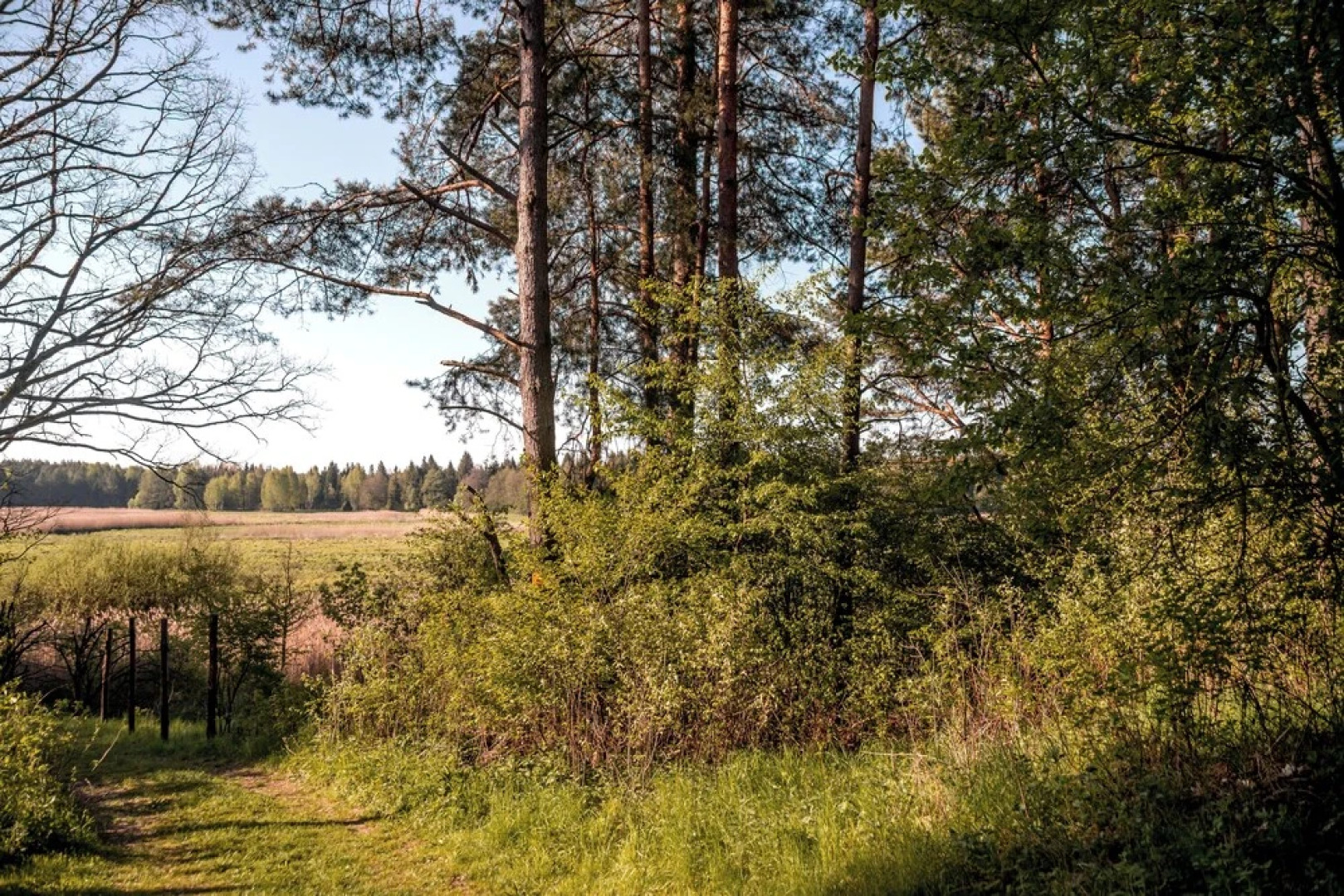 In The Woods Hut in the Forest 5 km From Suprasl