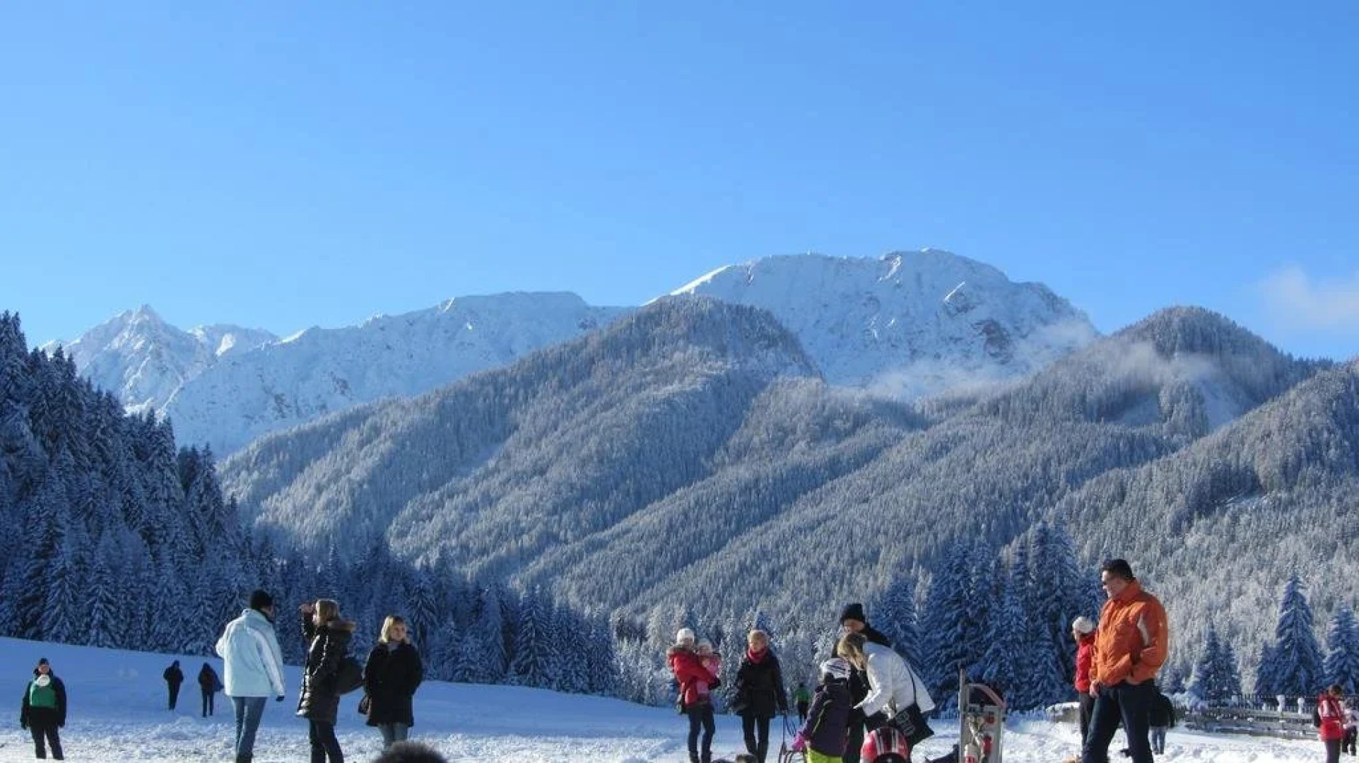 Familienhof Sereinig