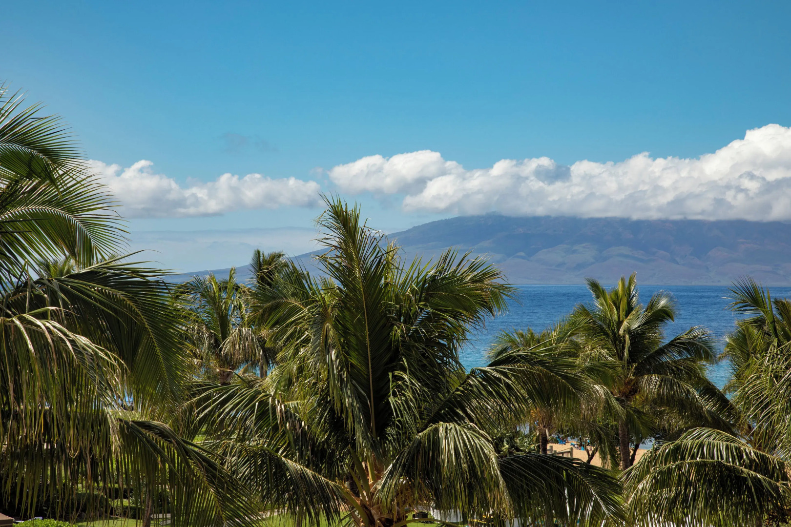 Honua Kai #316 - 1Br Condo