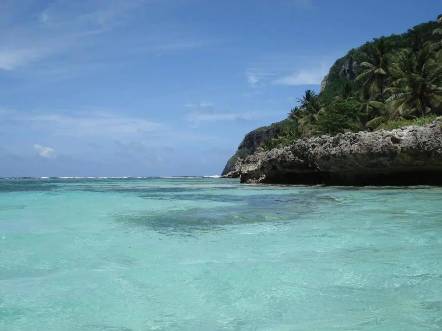 Palm-covered house in the tropical -Casa Oli