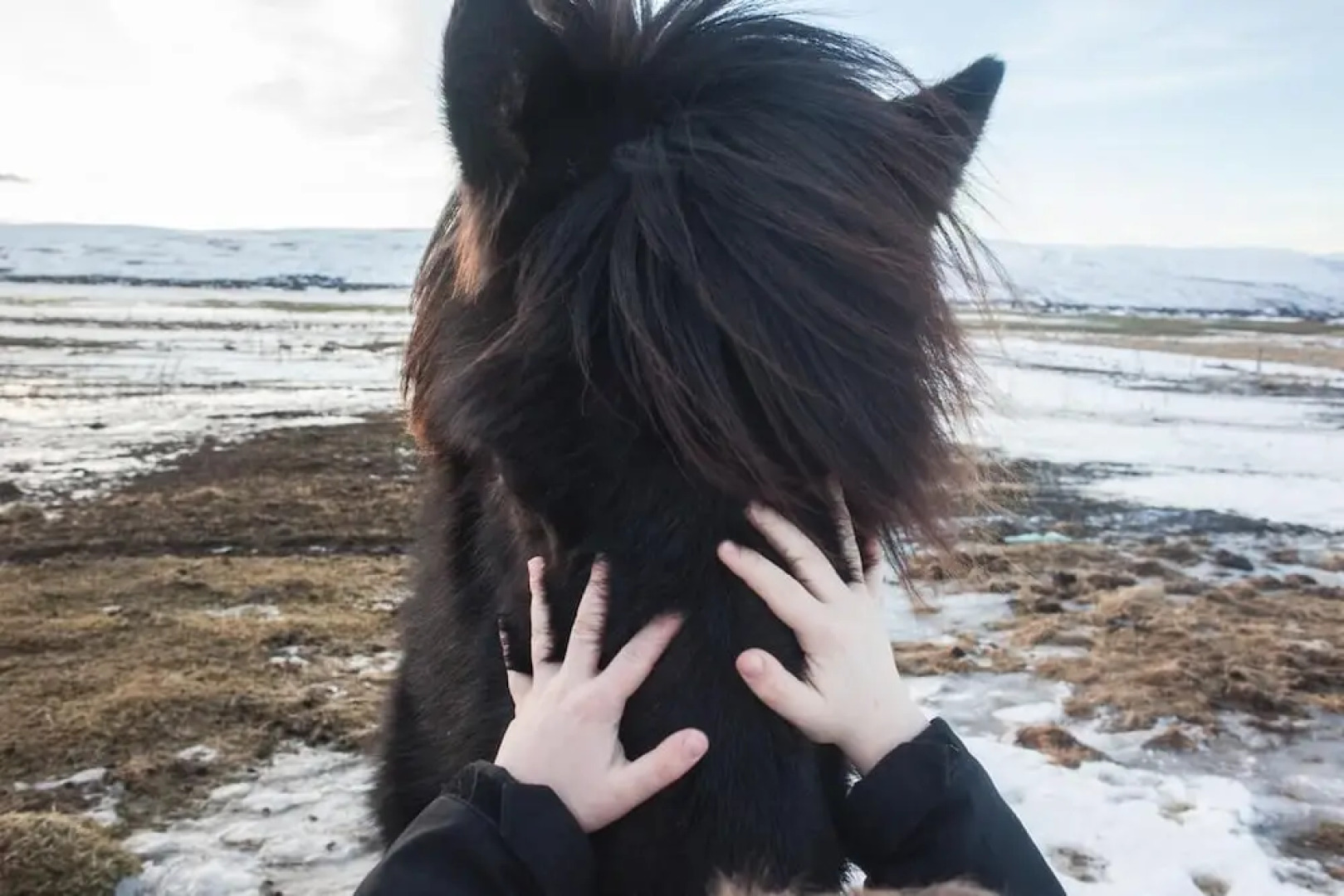 Miðhvammur Farm Stay