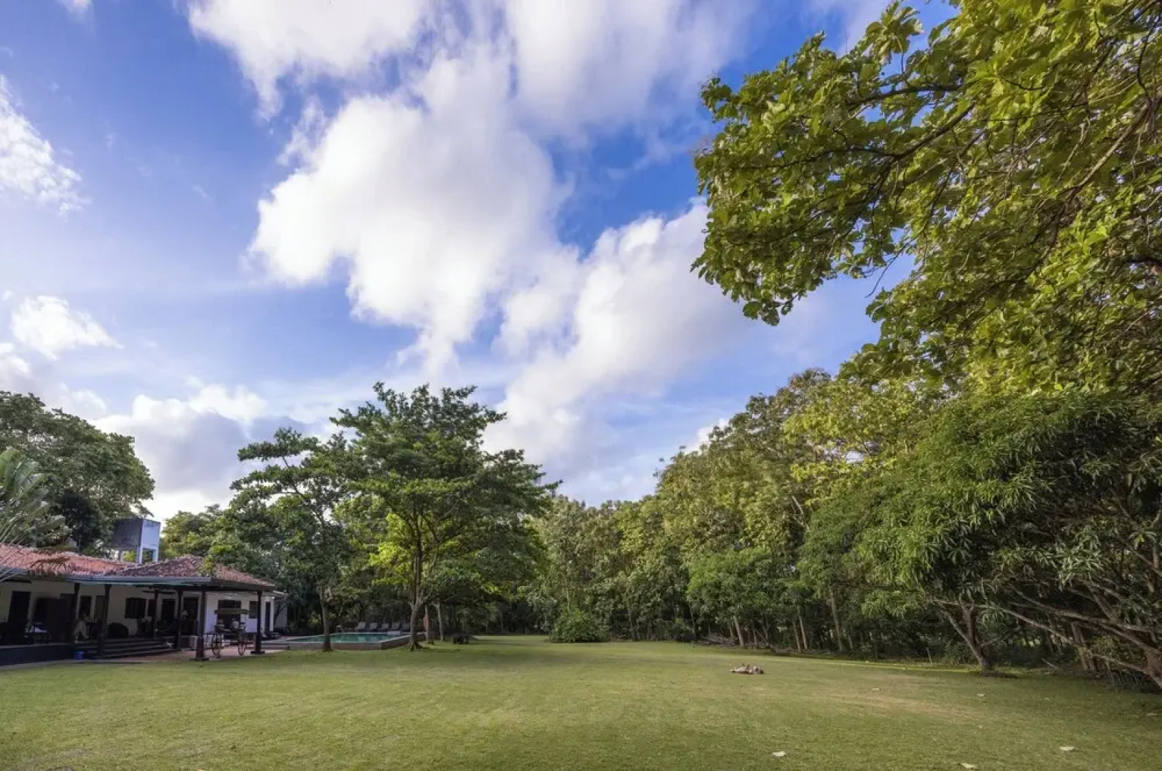 Villa Wild Ceylon by TSC