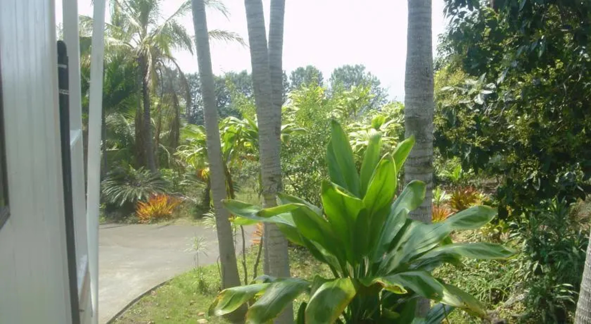 Green Lions Vacation Rental