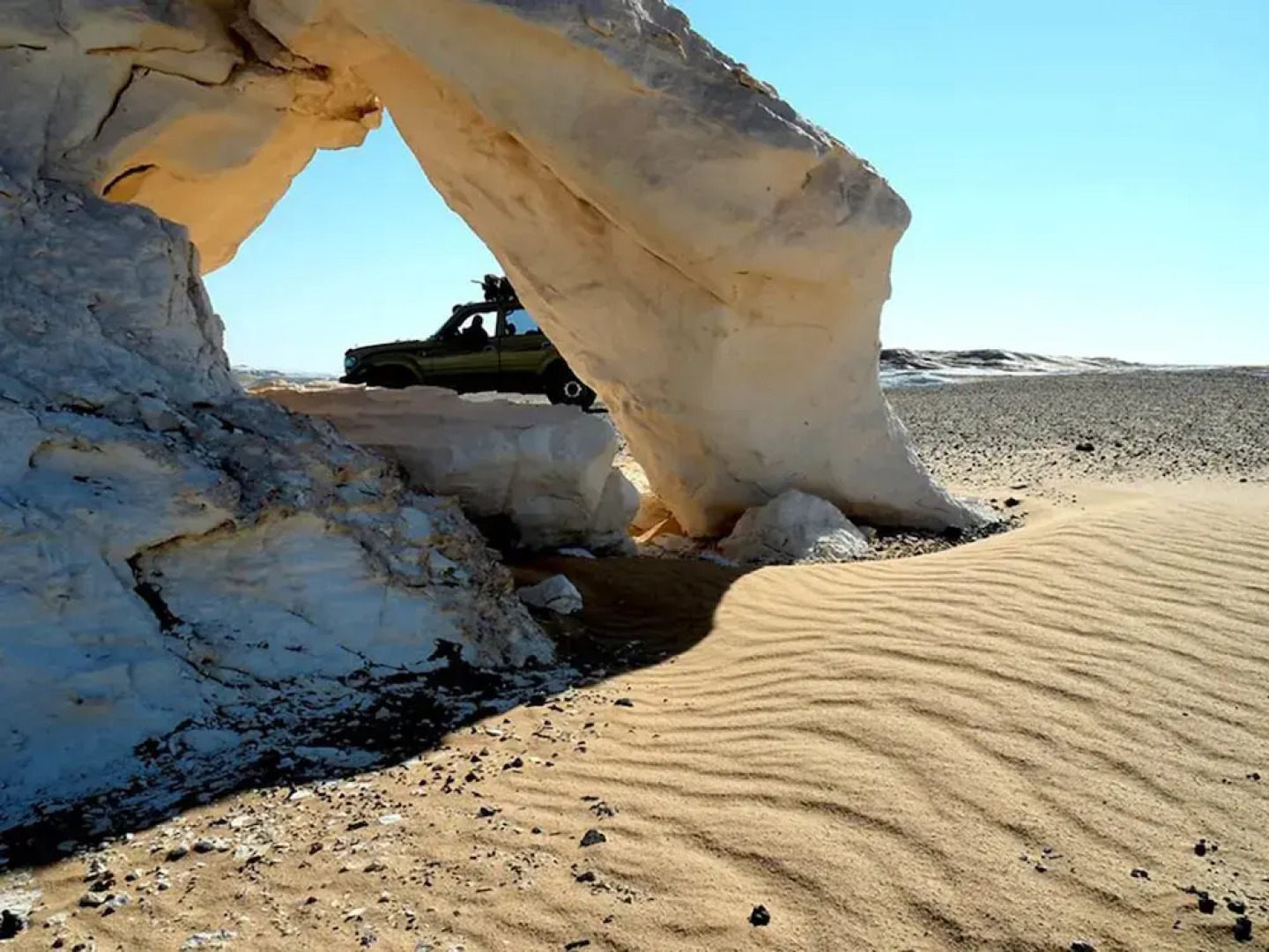 Le Jardin Sous la Lune