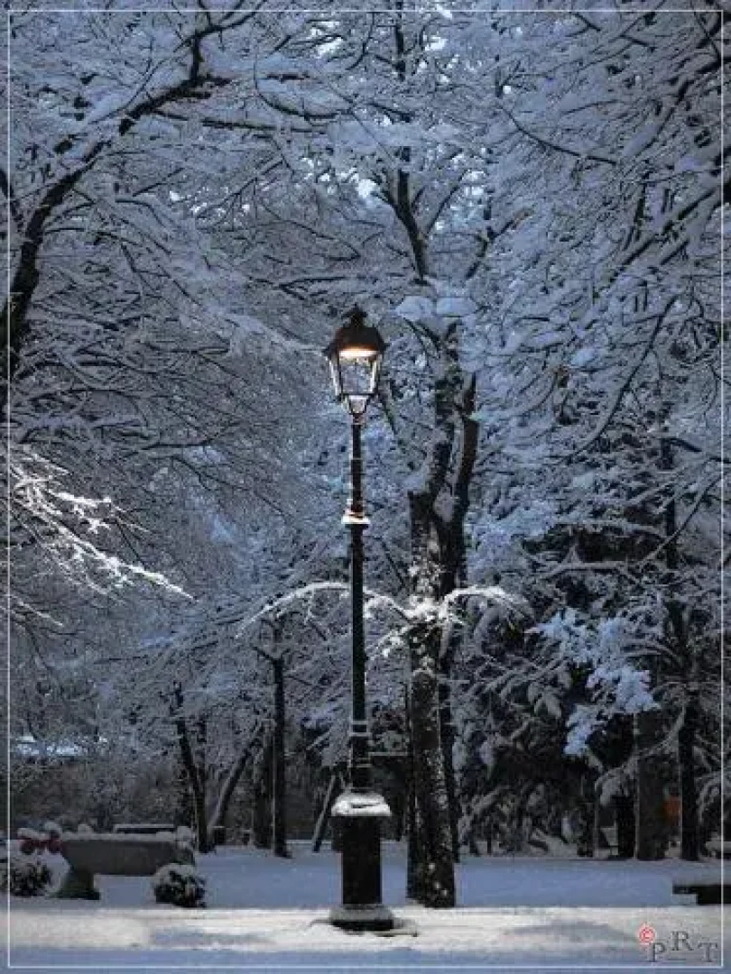 Anthoria B&B-Monolocale