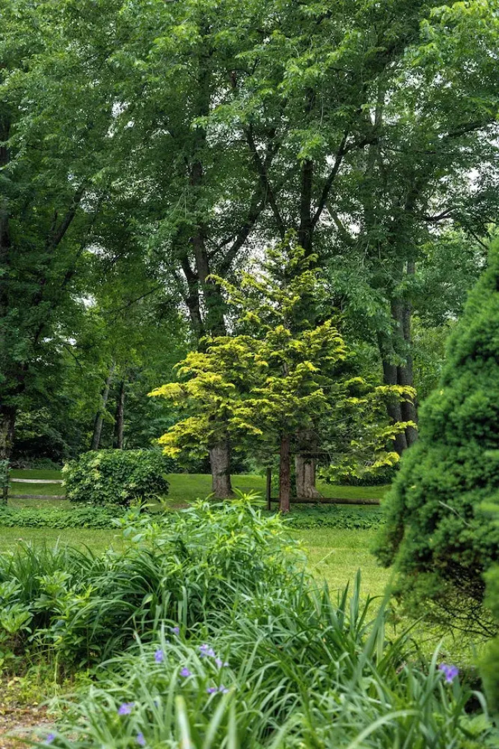 Sheffield 1802 House