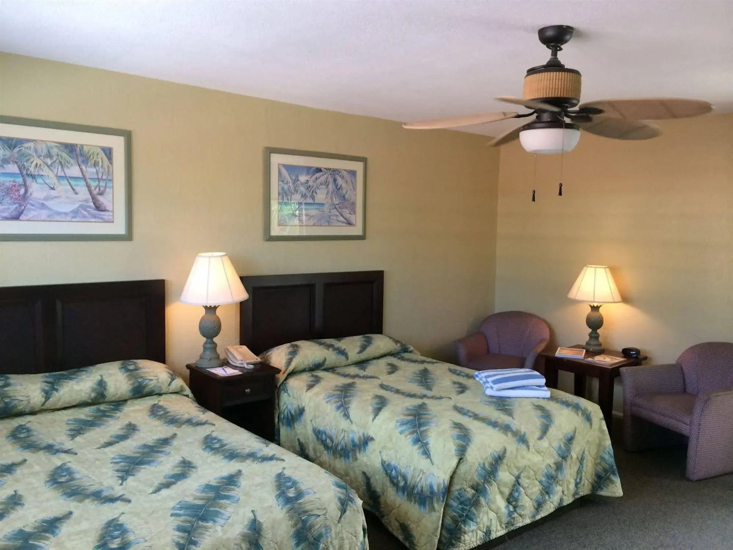 Coquina On The Beach