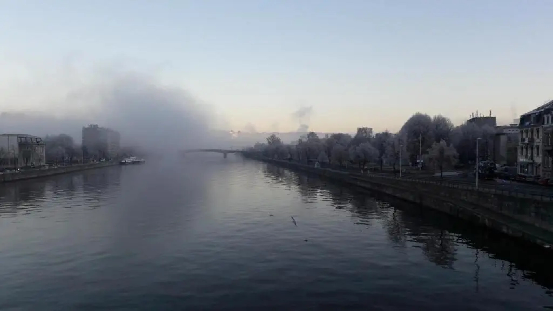 Appartement rez Terrasse et Jardin