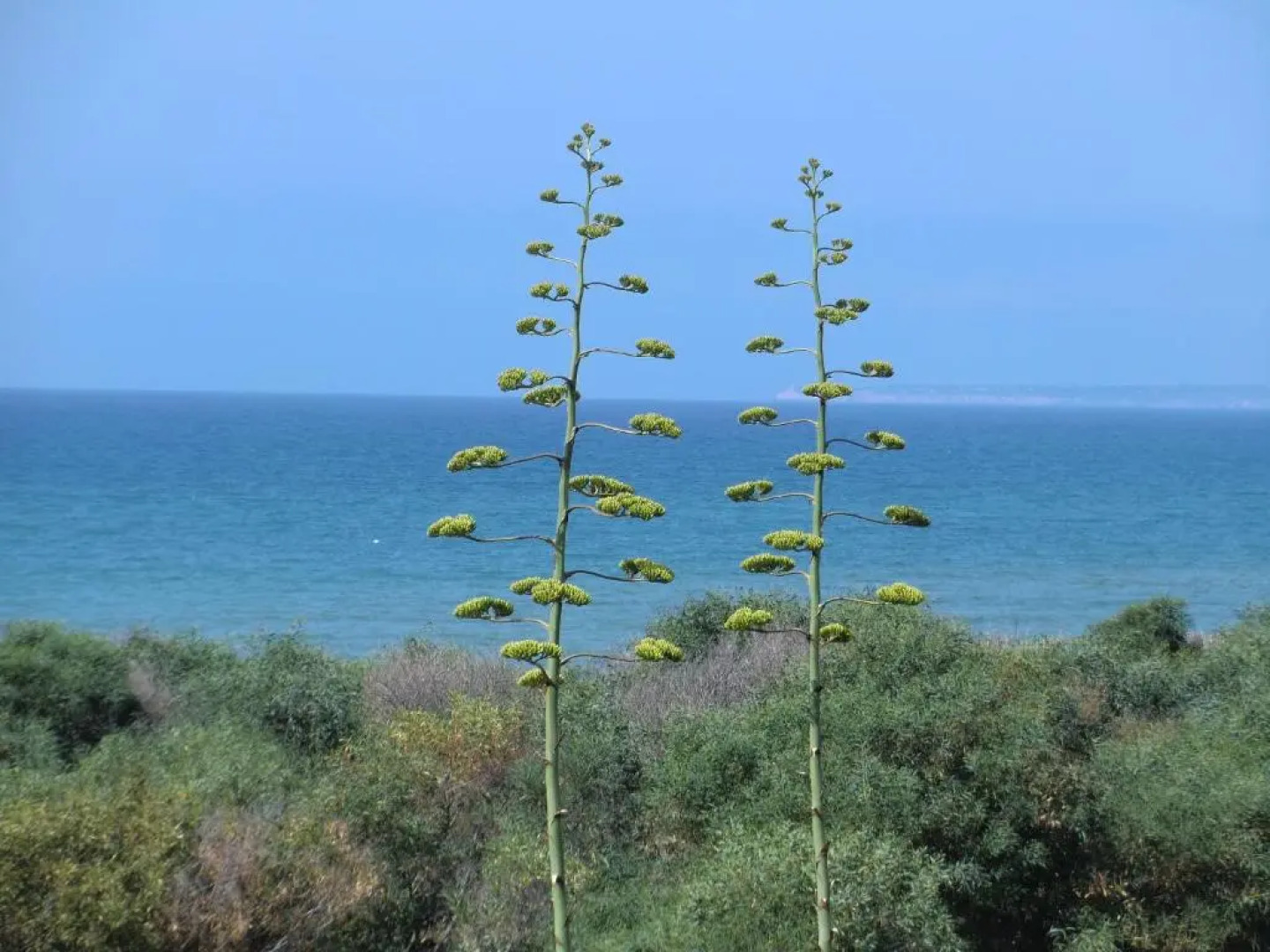 Affittacamere Windsurf