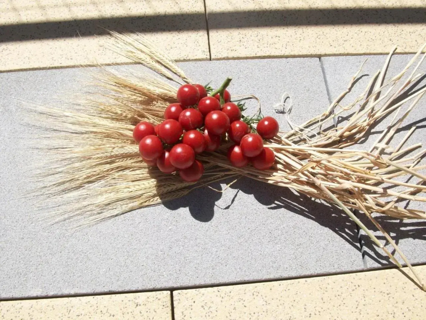 Agriturismo Botton D'Oro