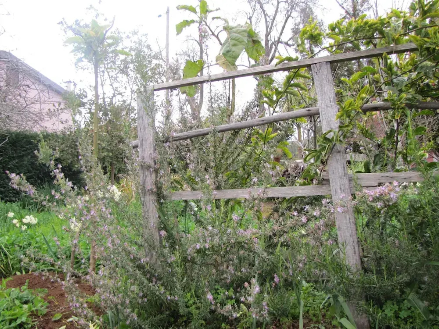 Rural House Casa Rosa