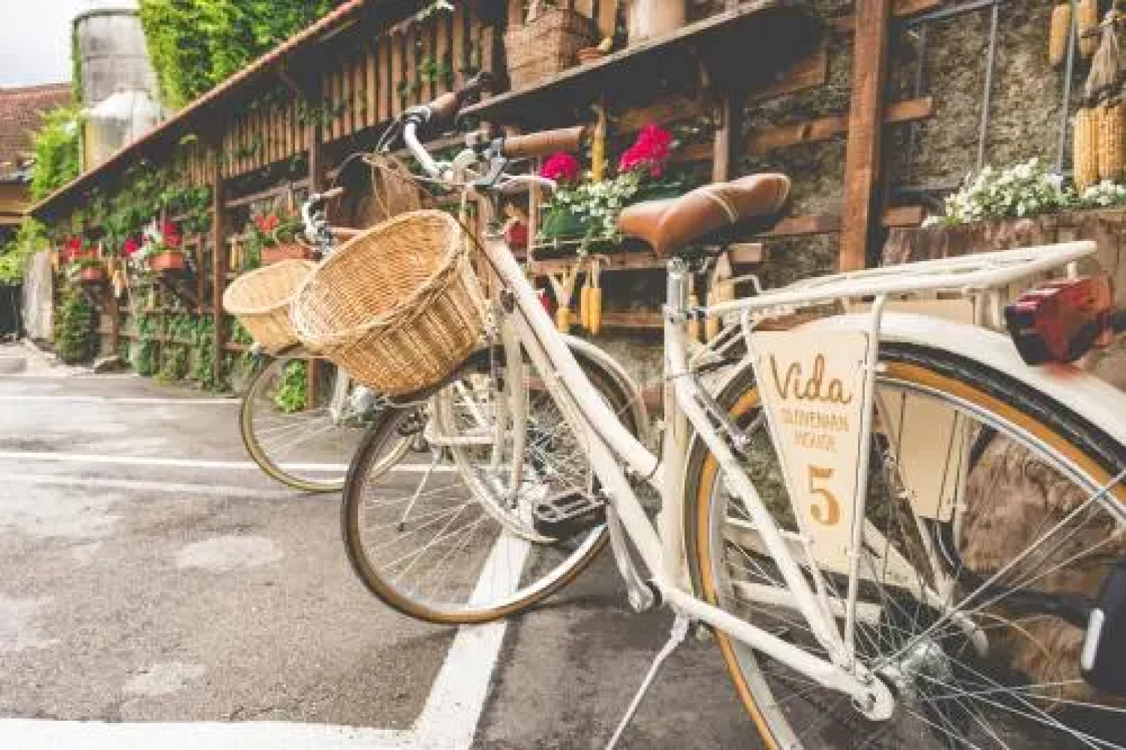 Slovenian House Vida